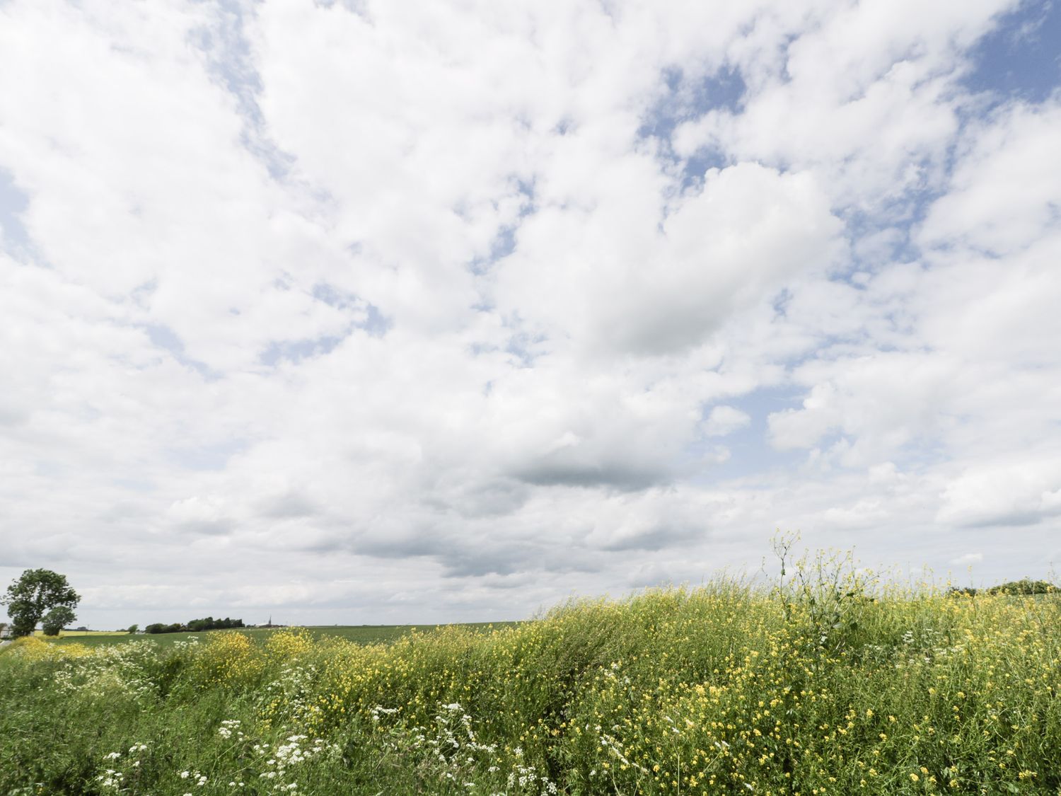 Property image 19 for SC1163039