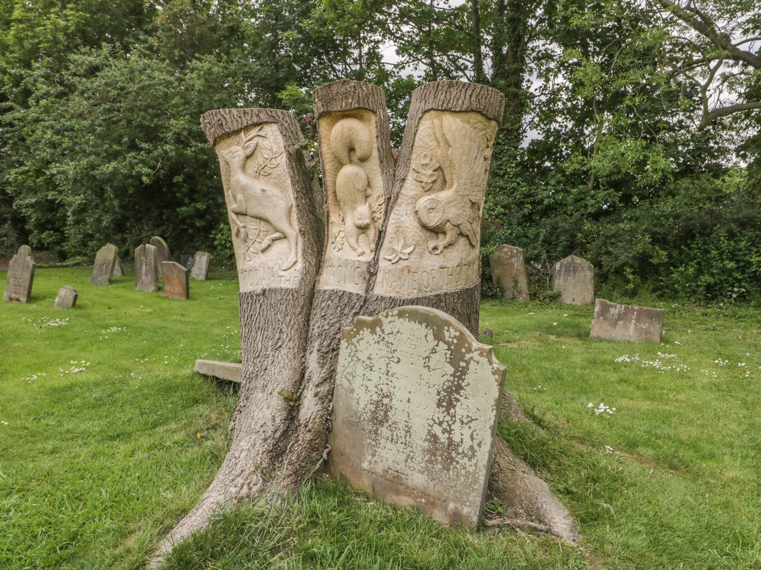 Property image 21 for SC1163039