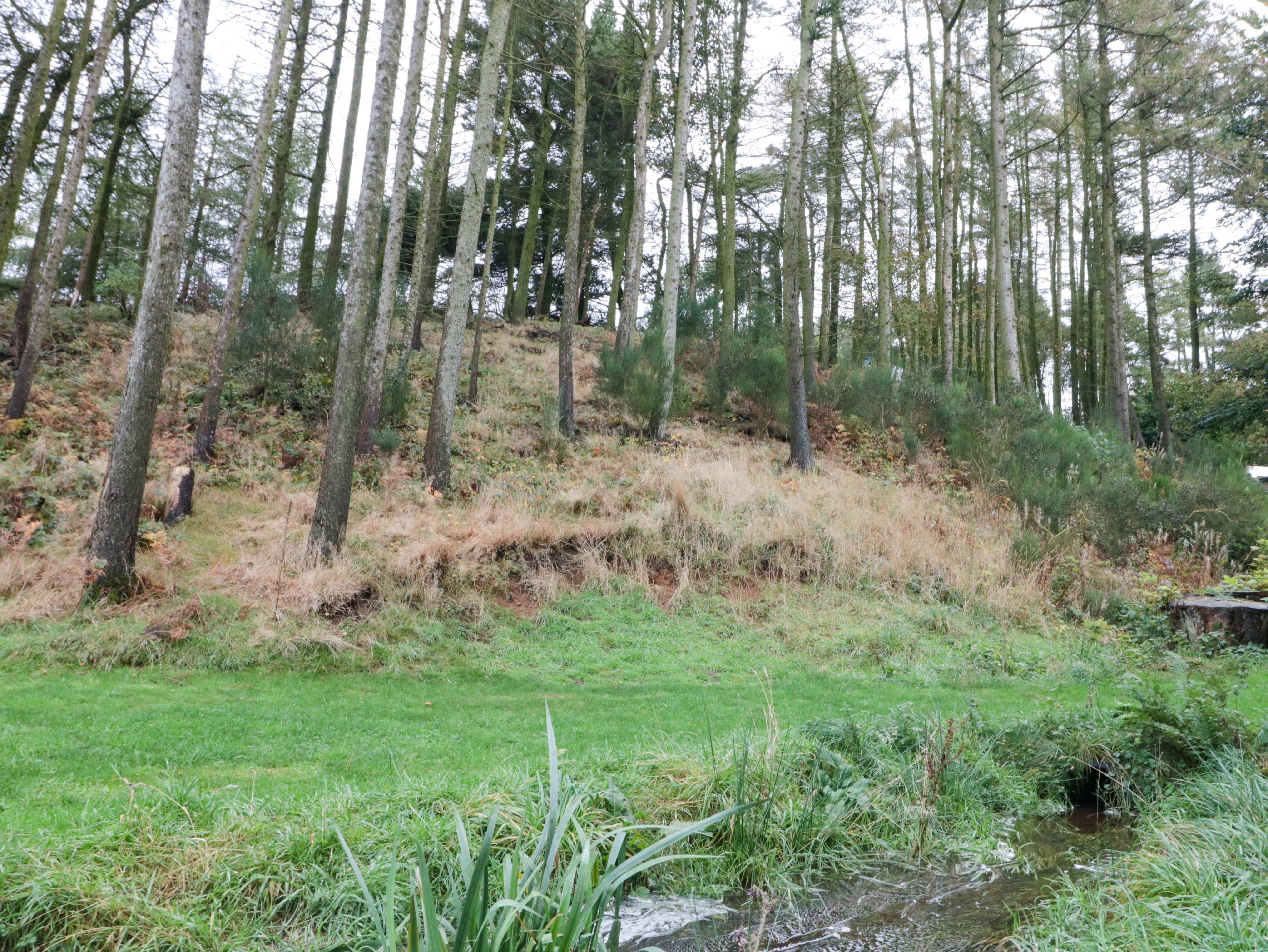 Property image 17 for SC1164803