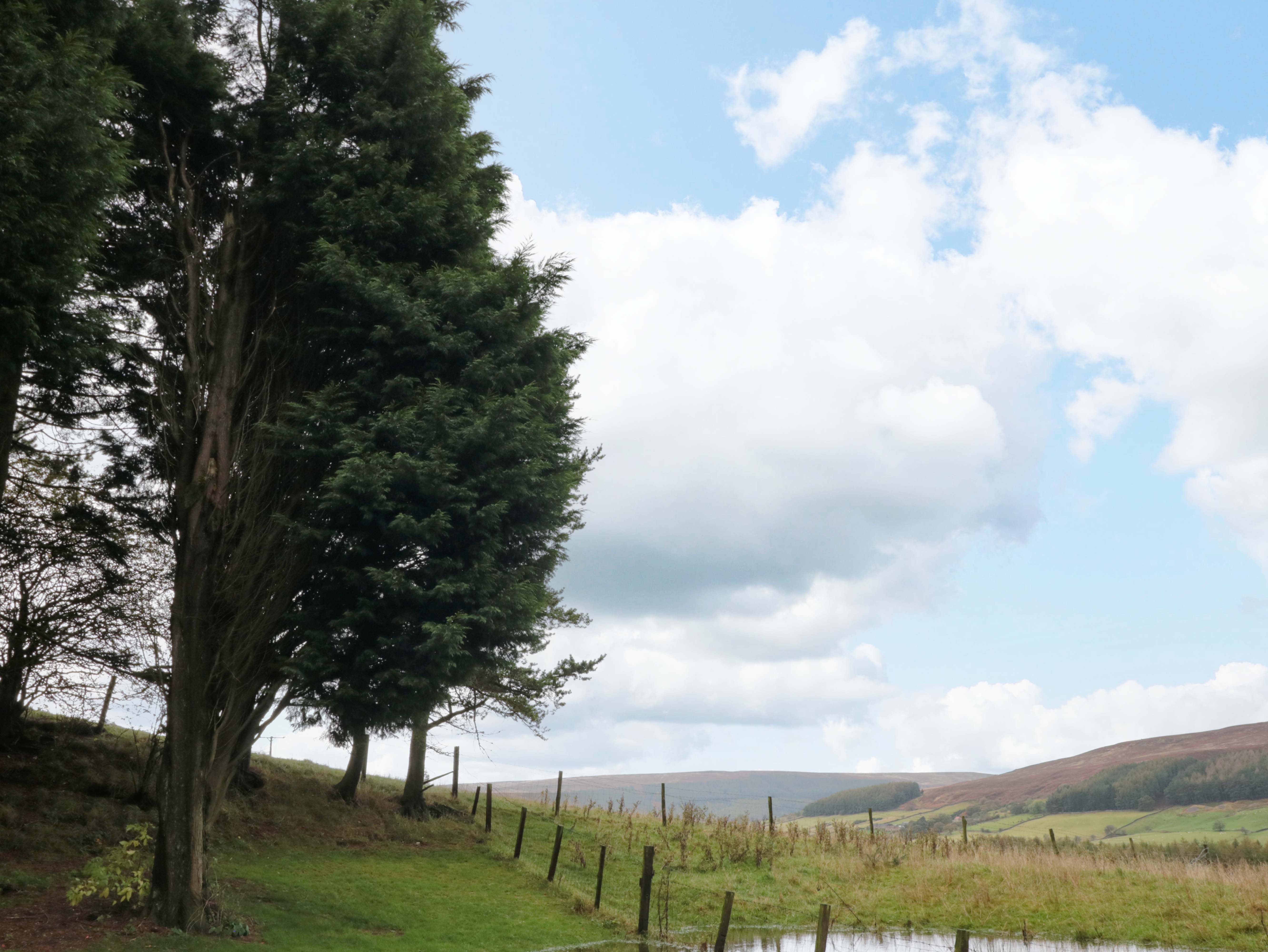 Property image 18 for SC1164803