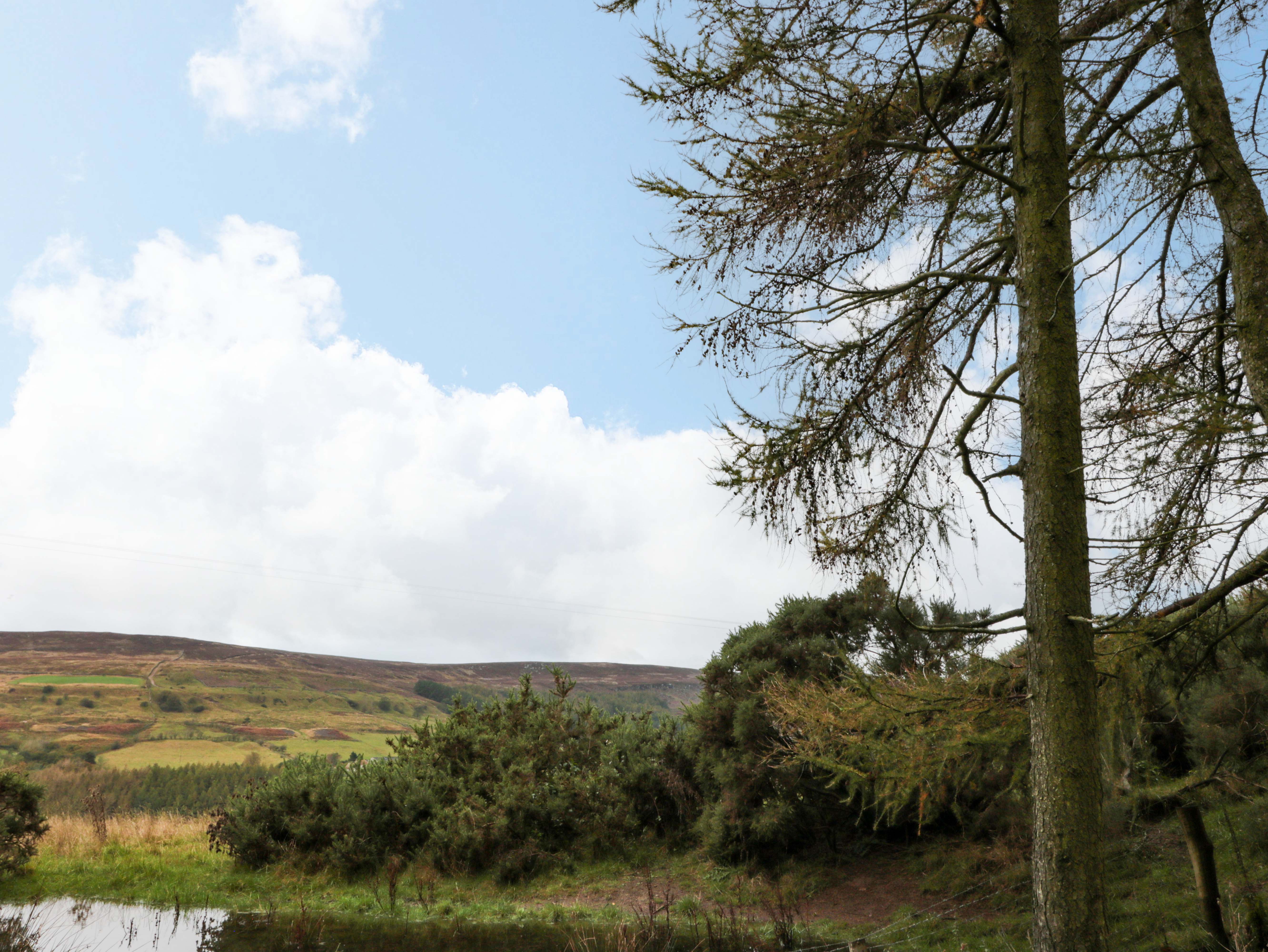 Property image 19 for SC1164803