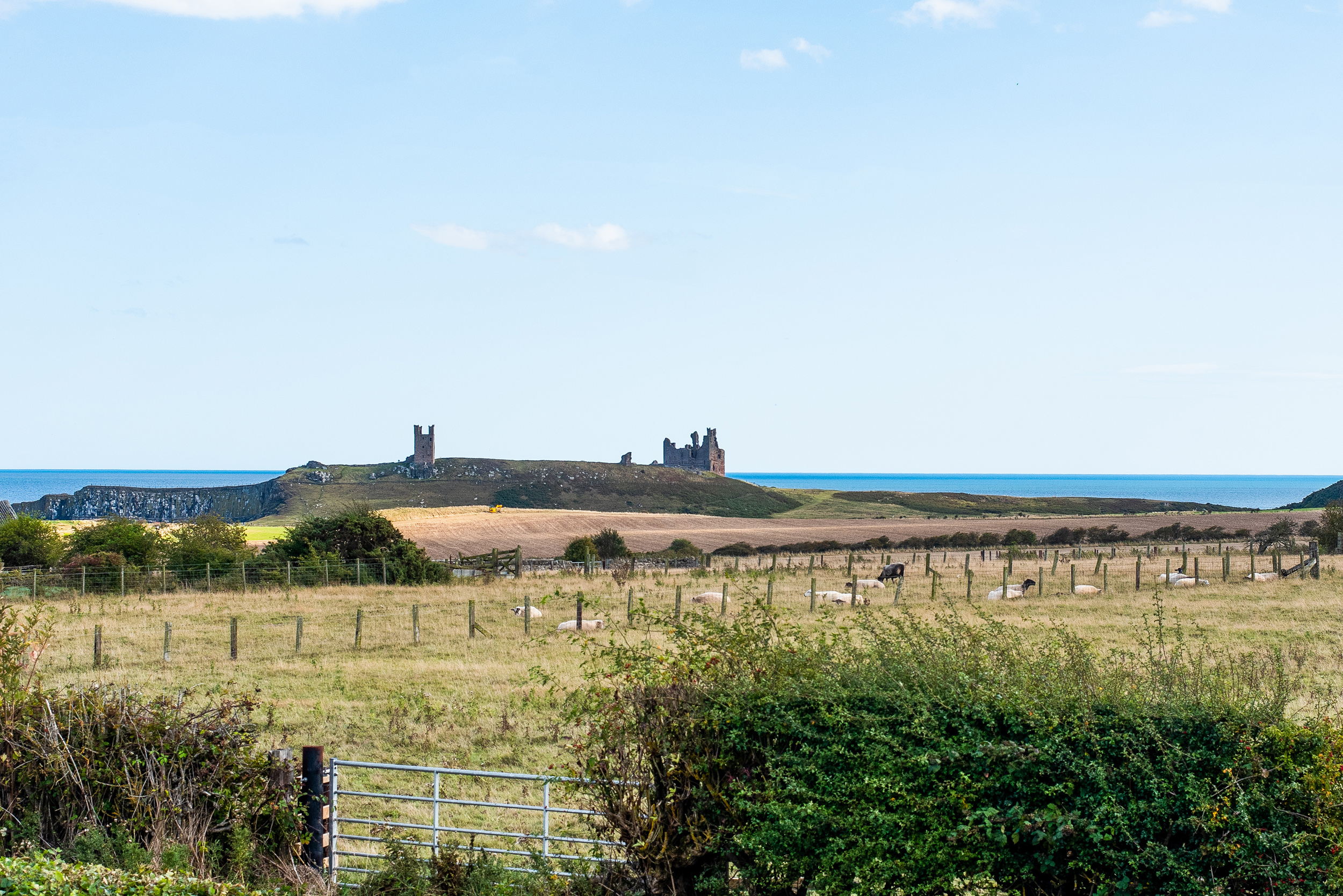 Property image 26 for SC1165954