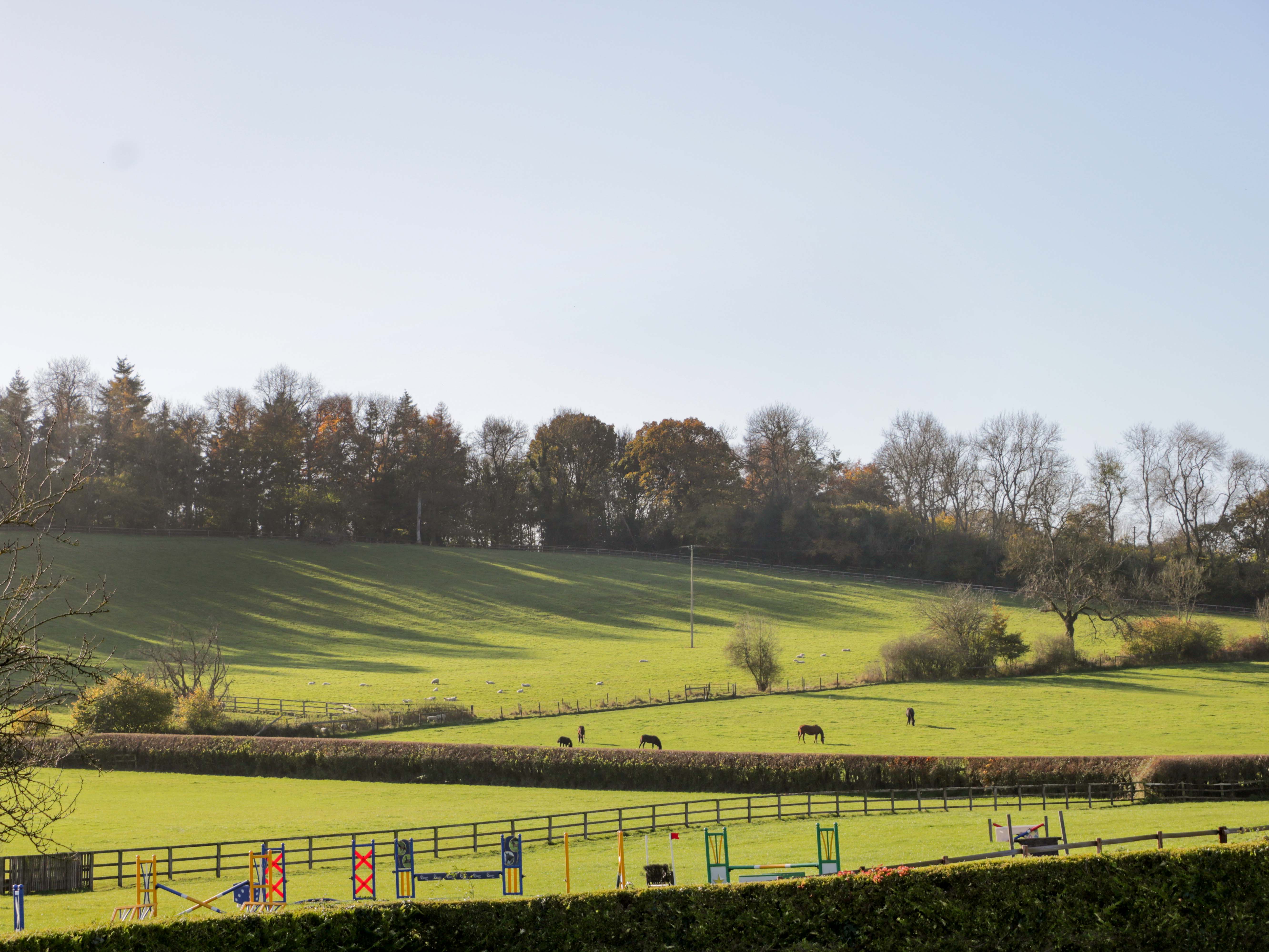 Property image 20 for SC1166485