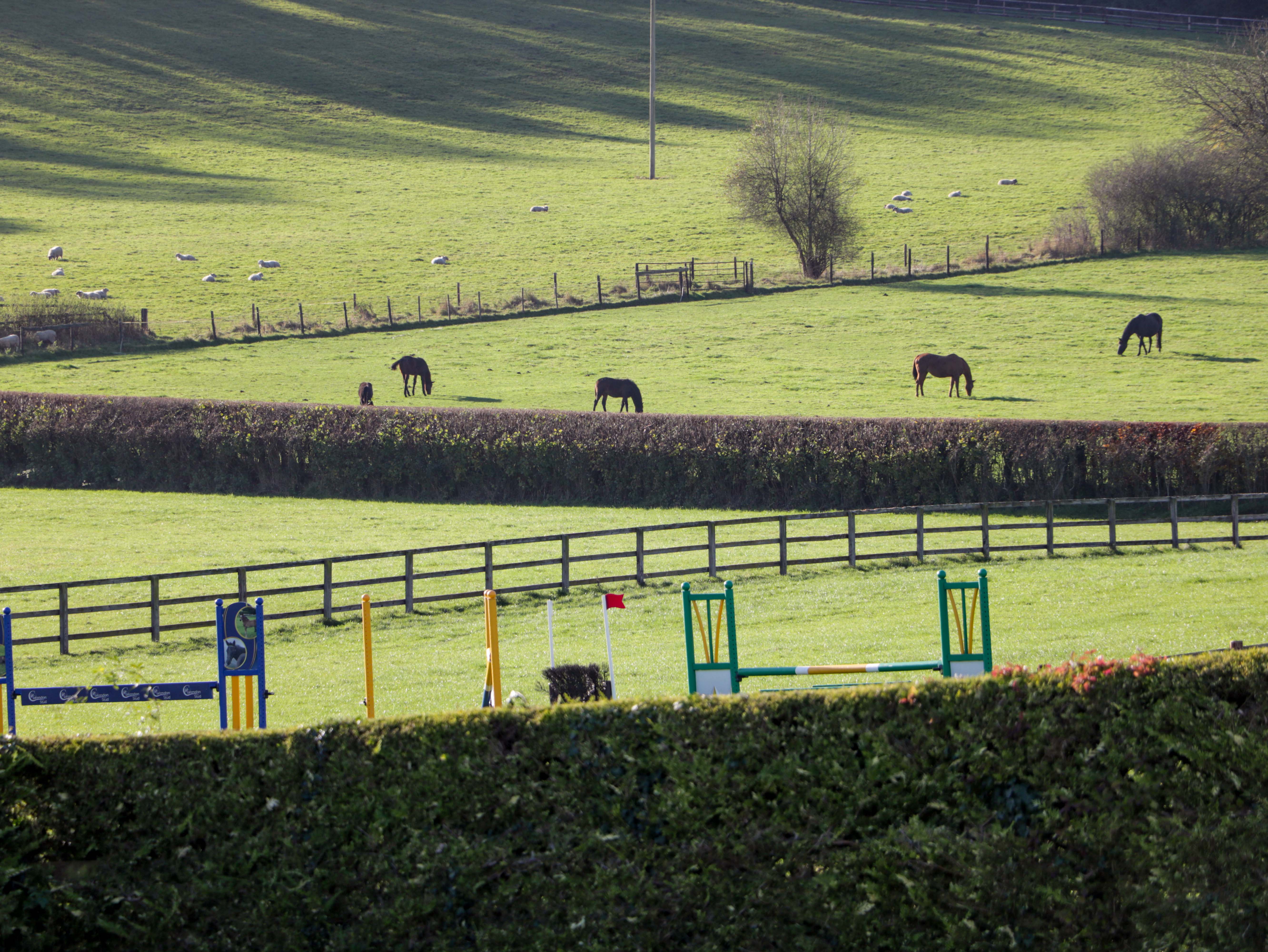 Property image 22 for SC1166485