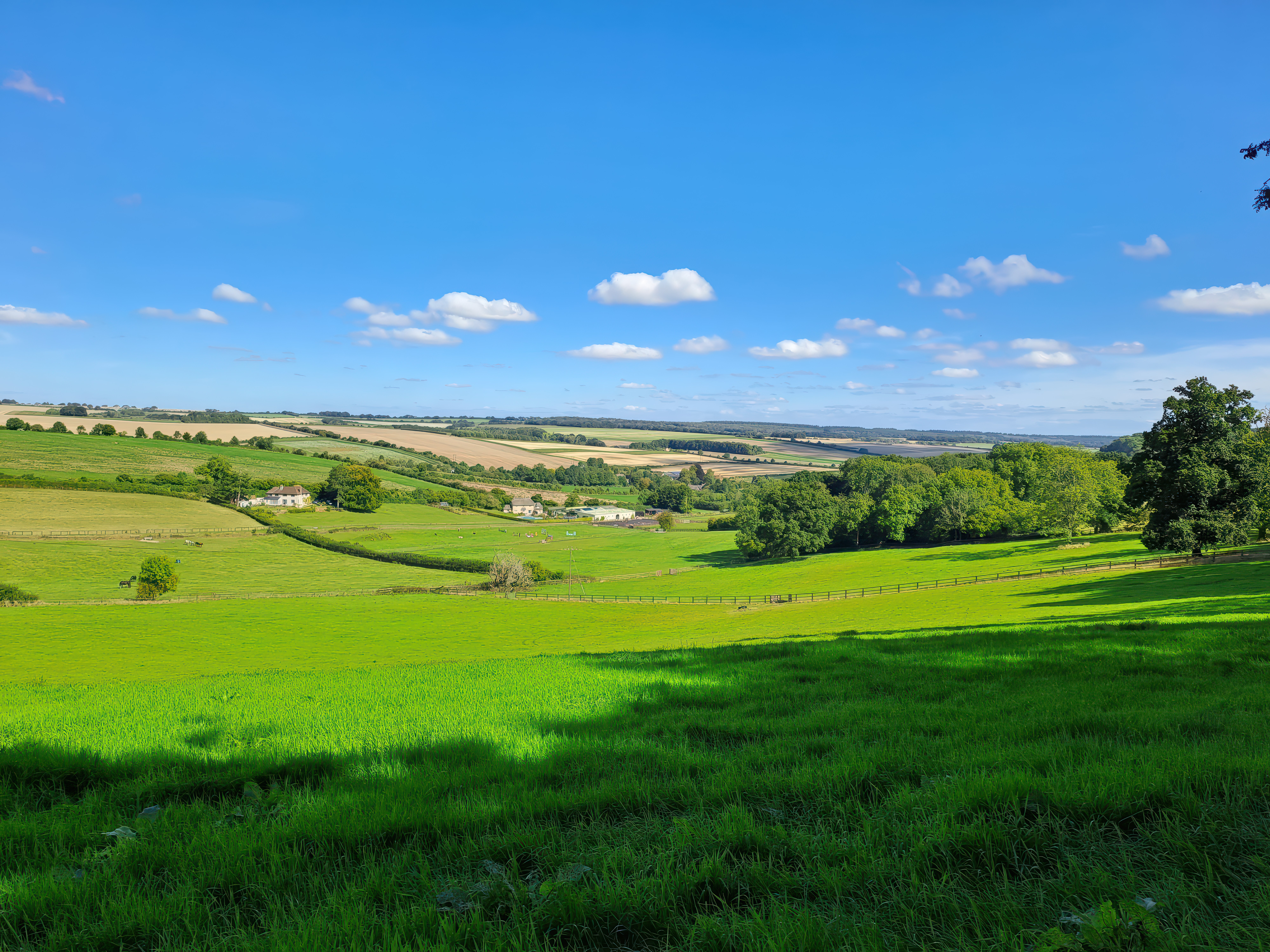 Property image 23 for SC1166485