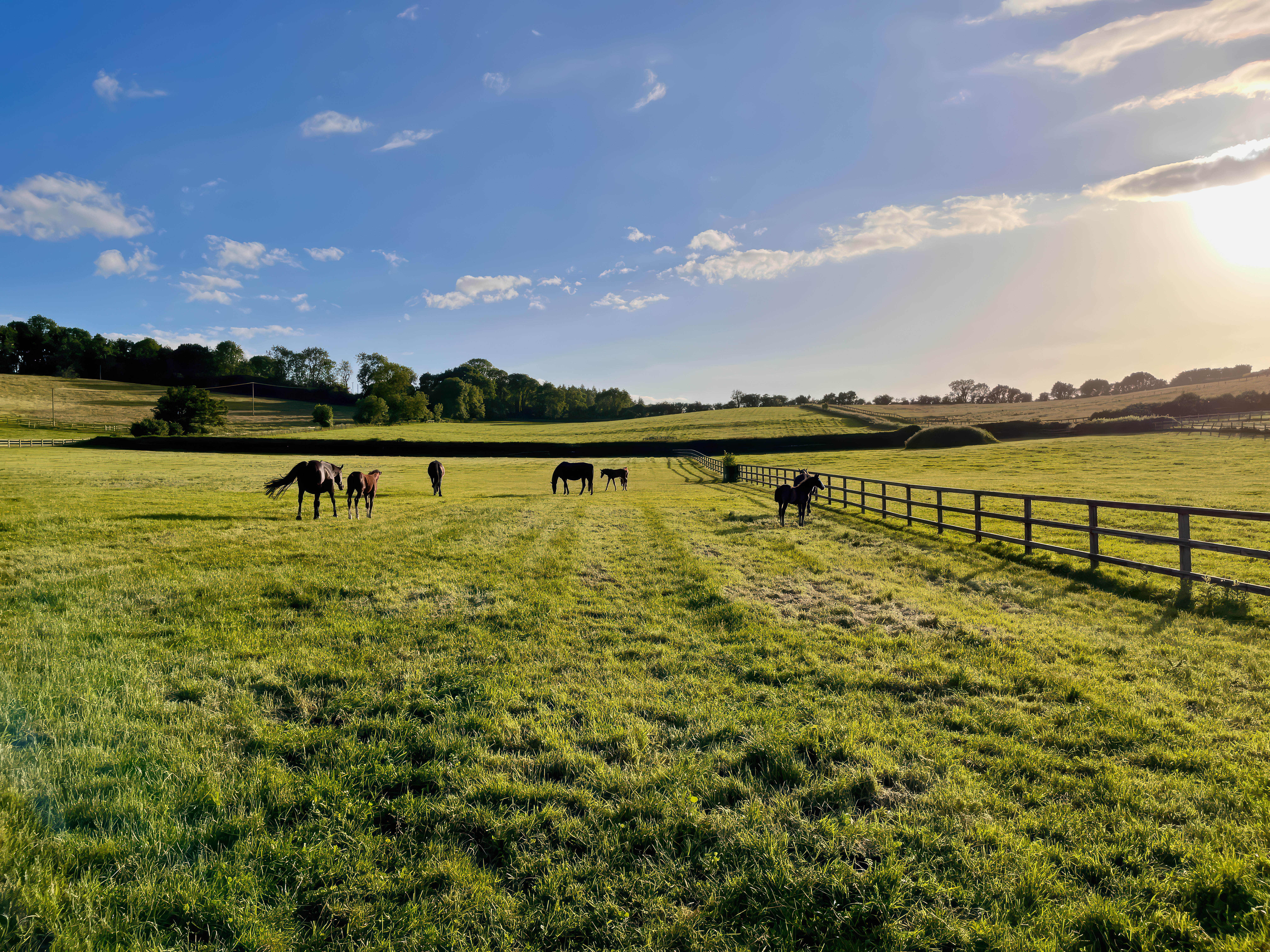 Property image 29 for SC1166485