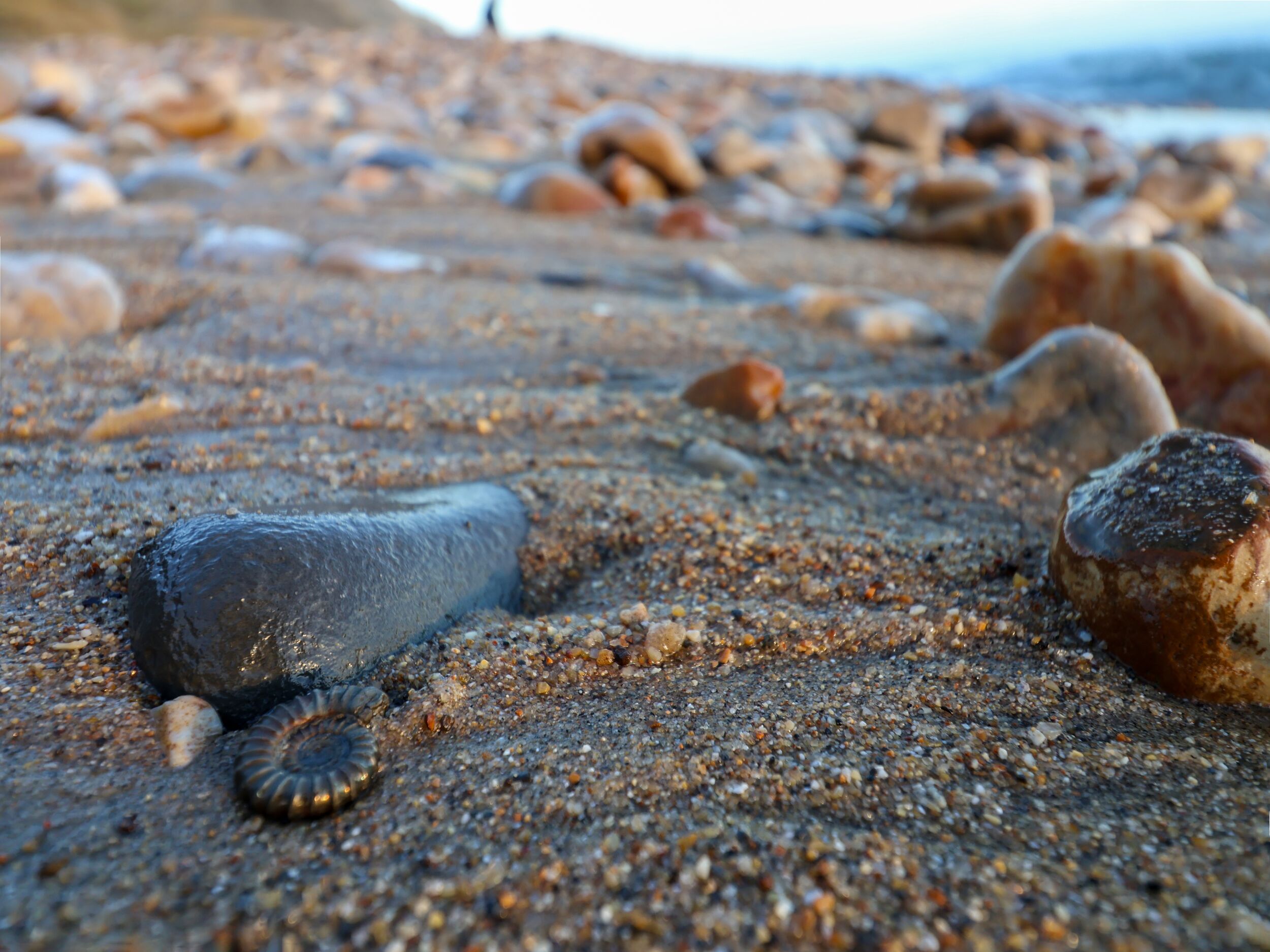 Property image 22 for SC1167025