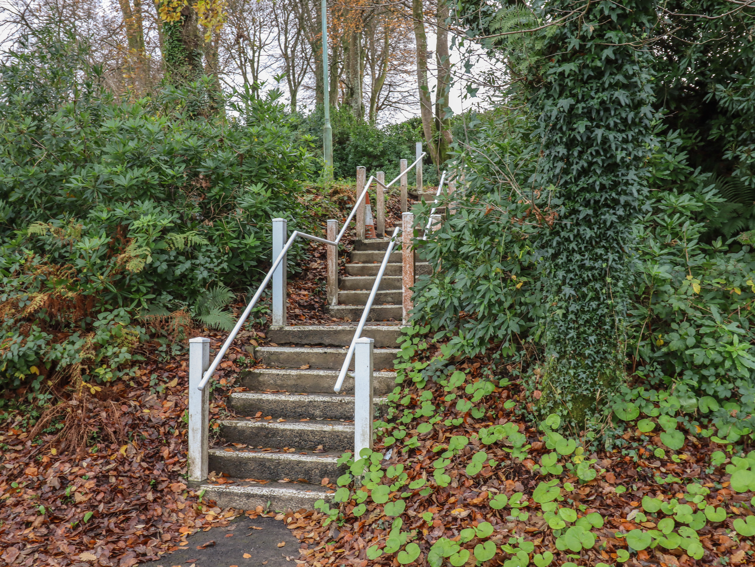 Property image 18 for SC1169052