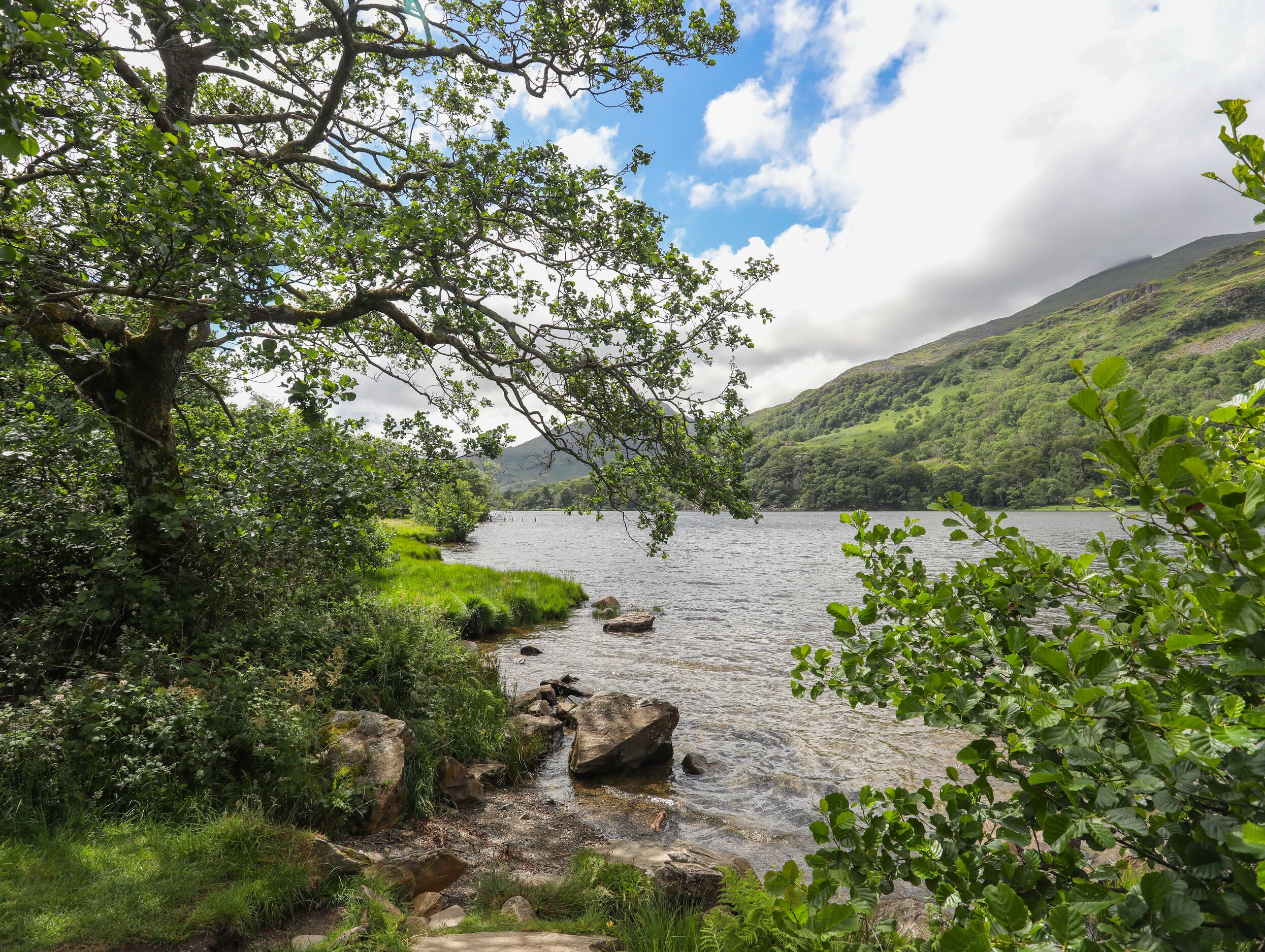 Property image 21 for SC1169068