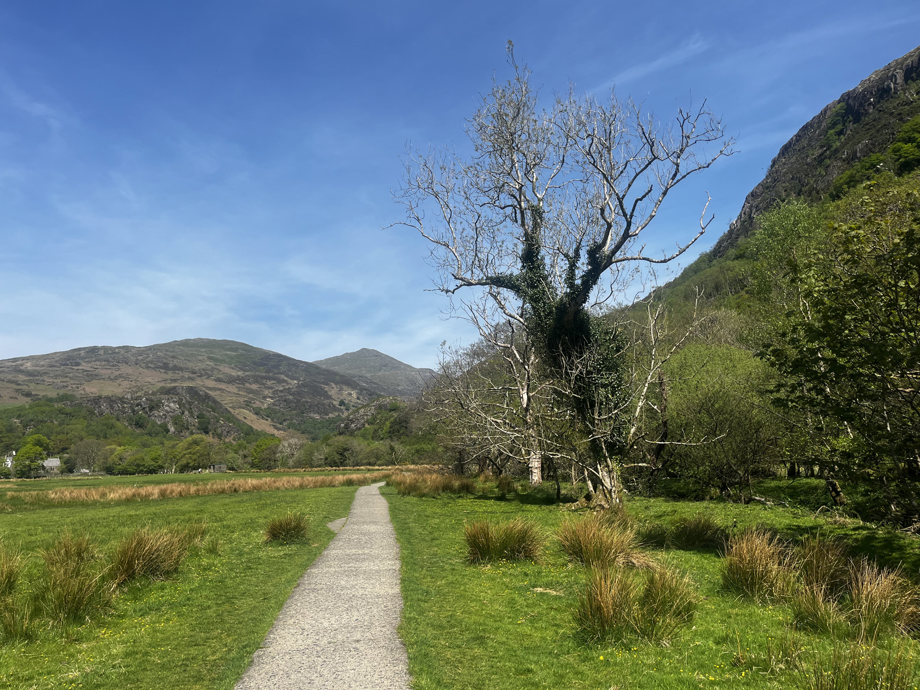 Property image 27 for SC1169068