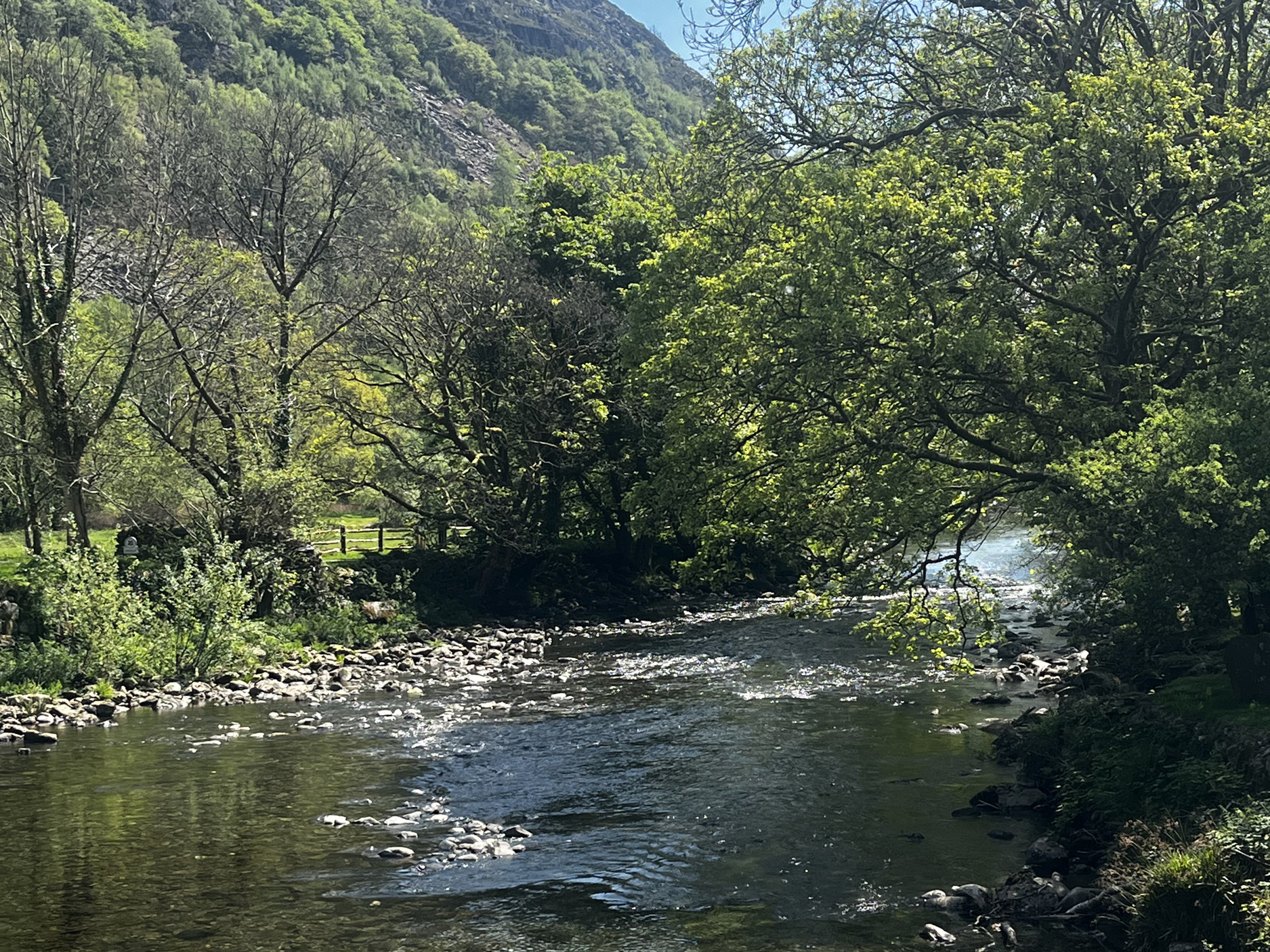 Property image 28 for SC1169068