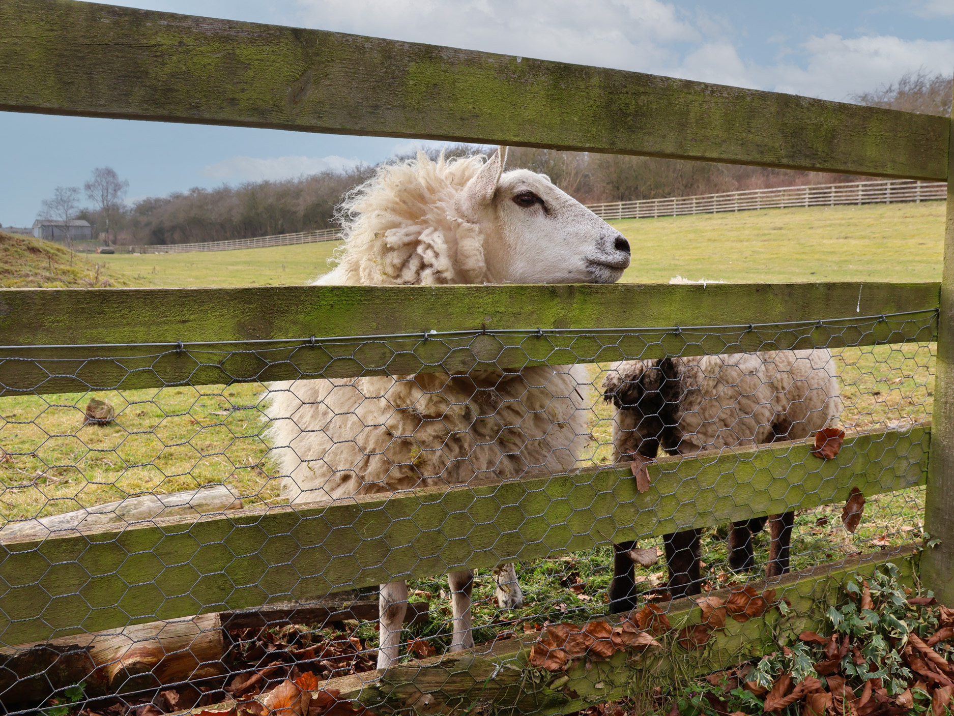 Property image 17 for SC1170484