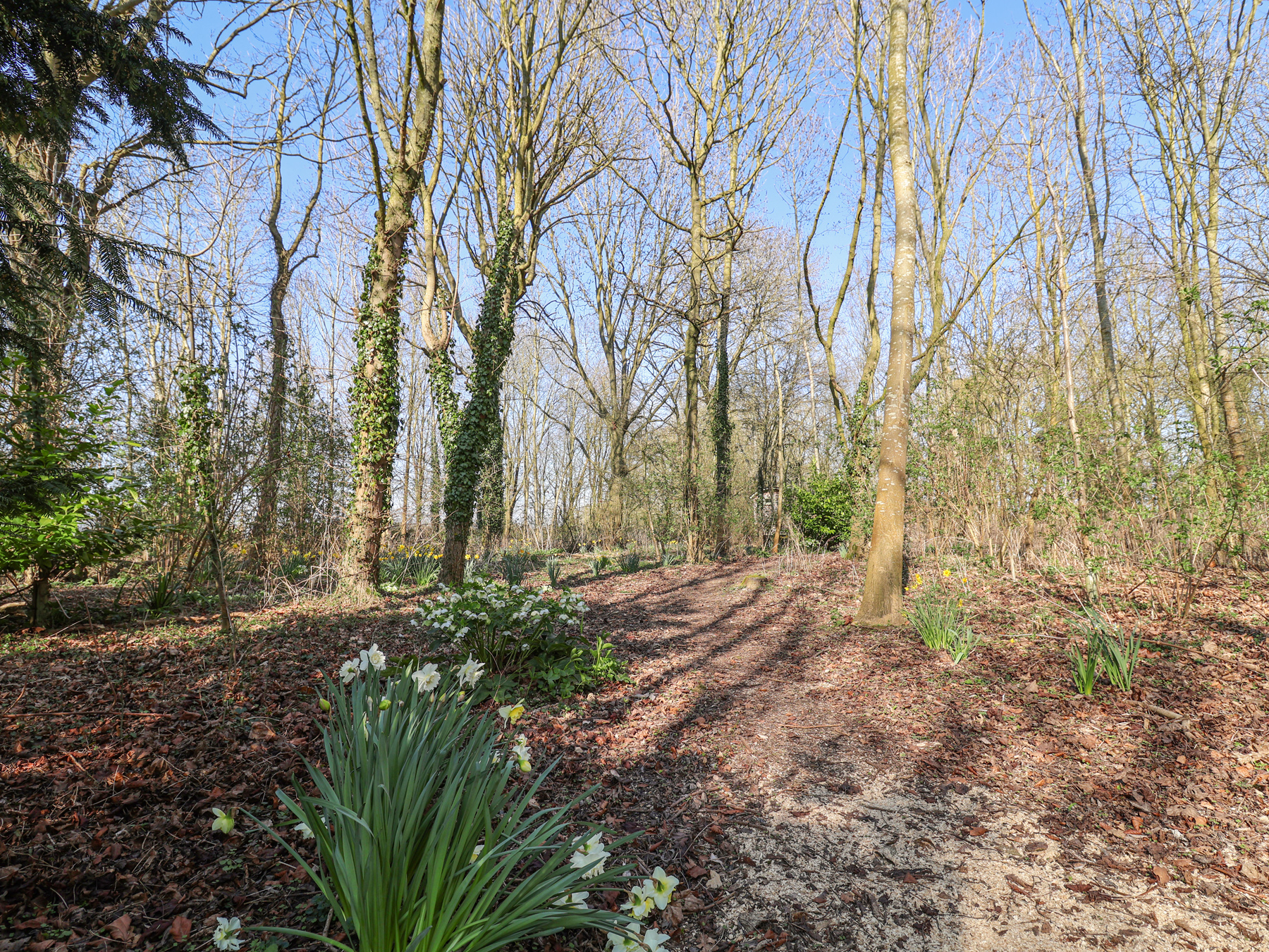 Property image 13 for SC1171338