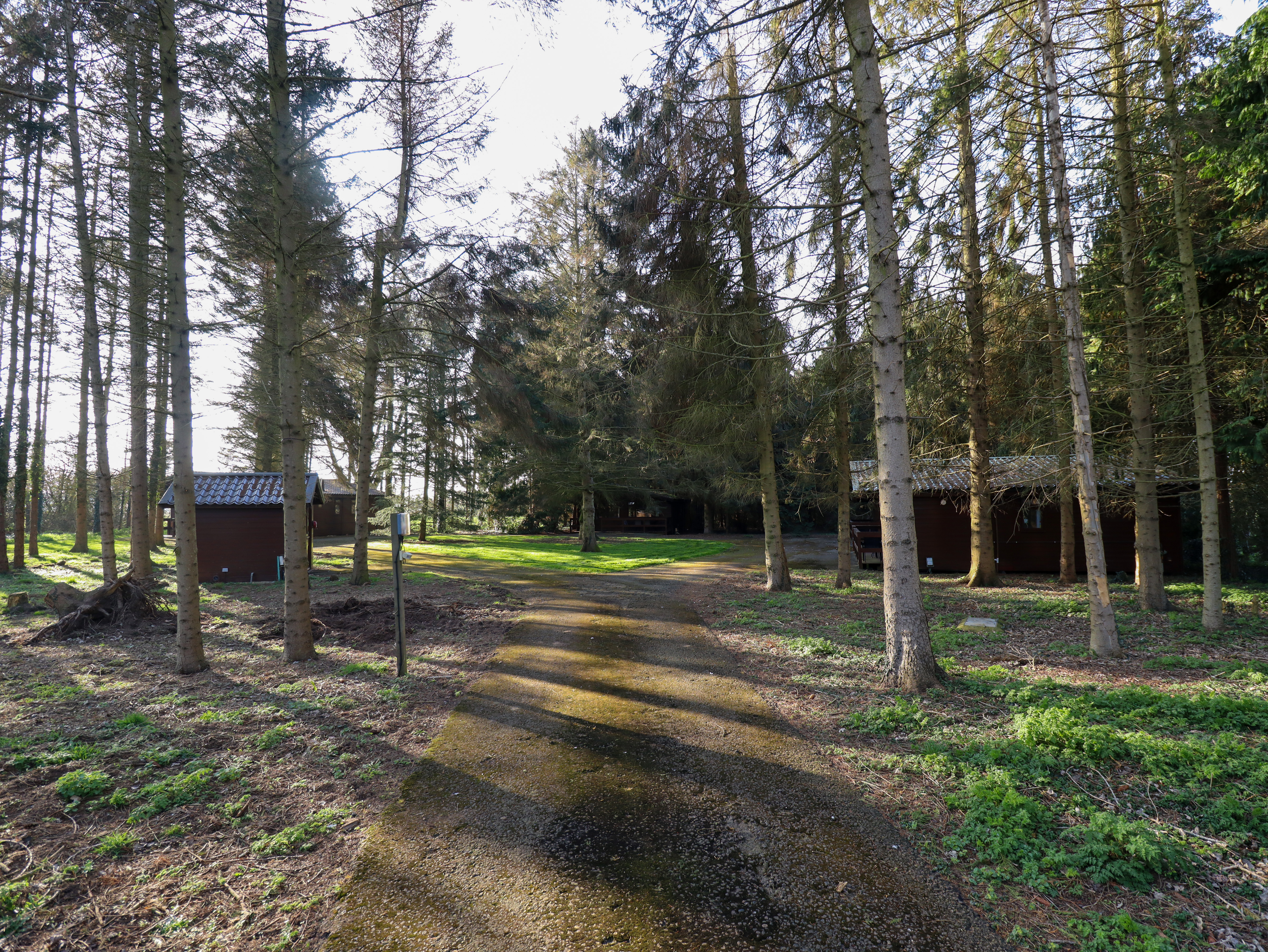 Property image 16 for SC1172647