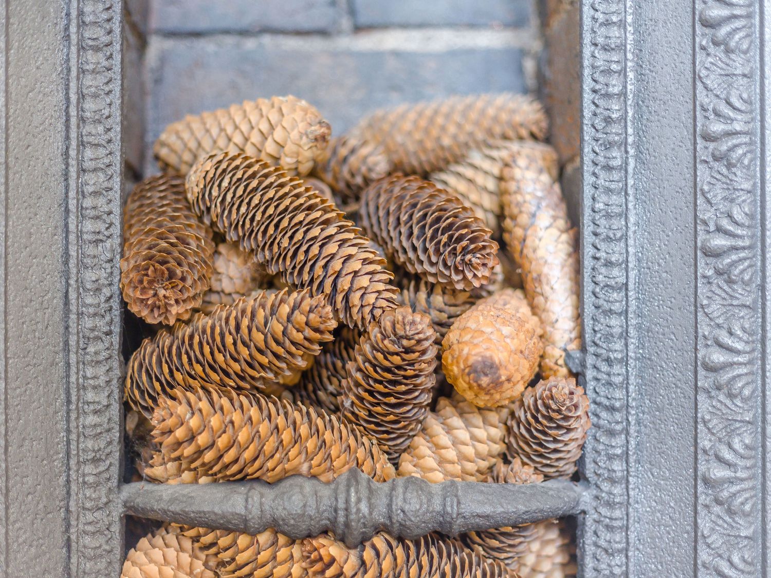 Property image 25 for SC1172786