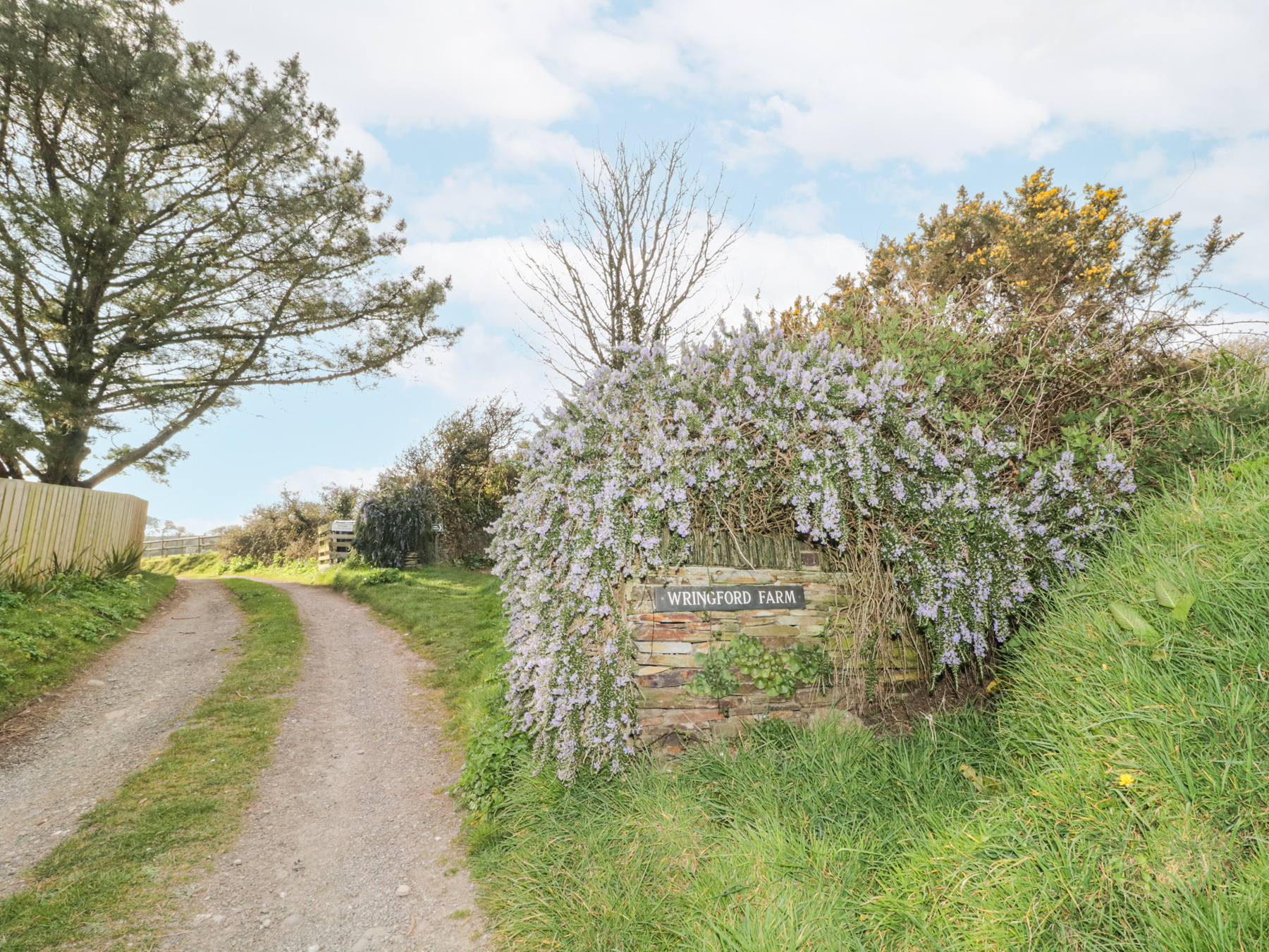 Property image 18 for SC1173014