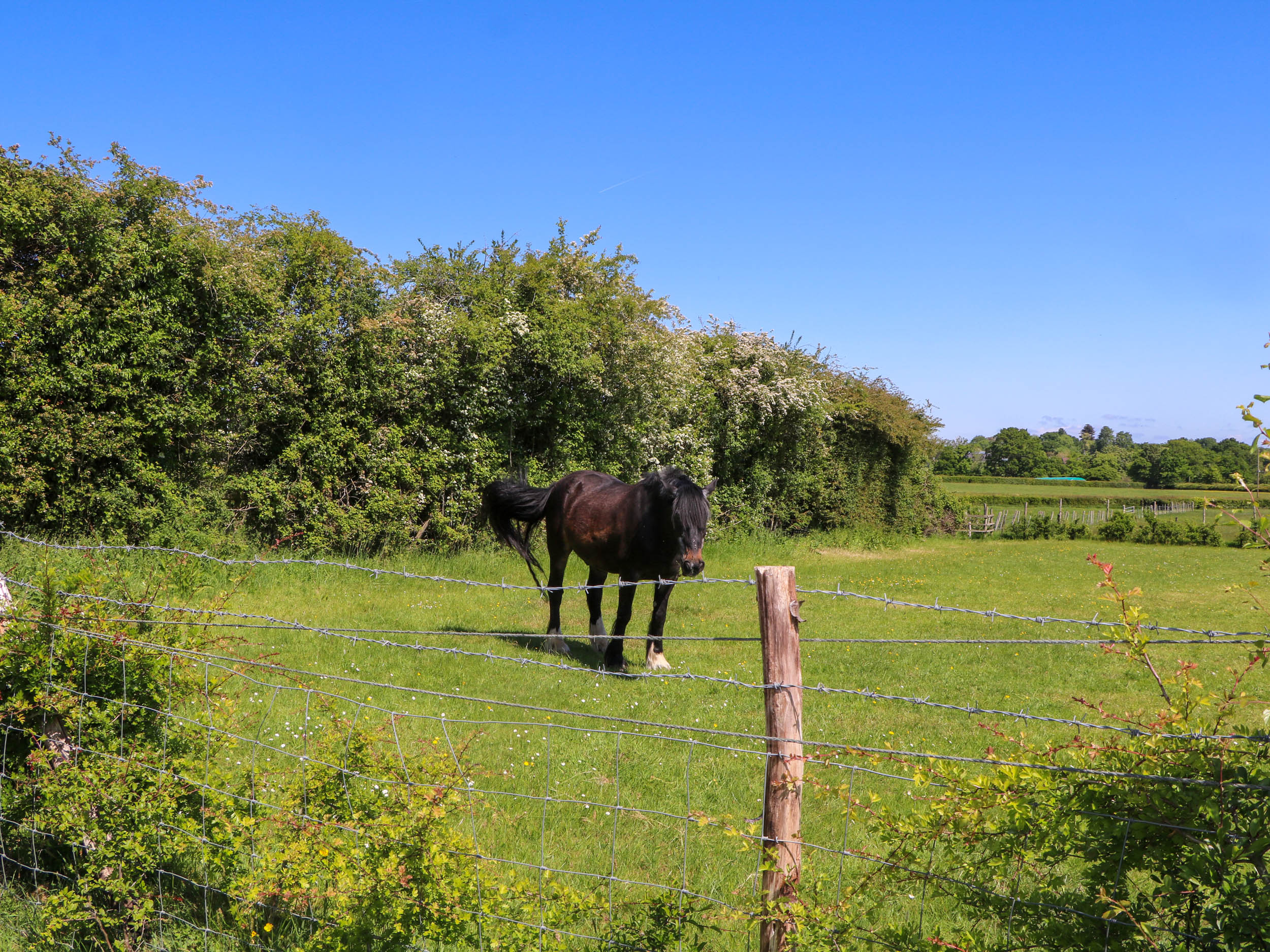 Property image 24 for SC1174175