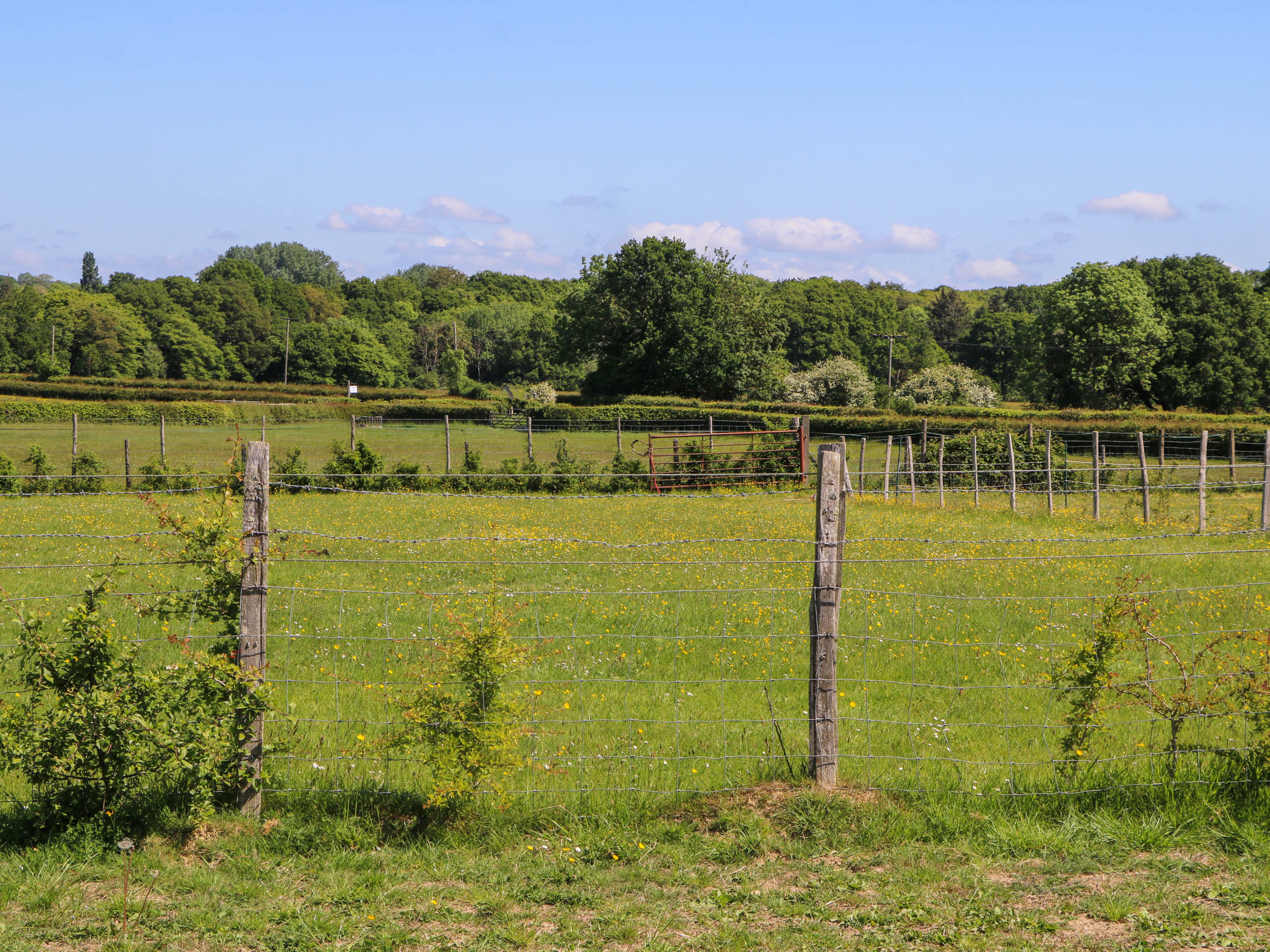 Property image 25 for SC1174175