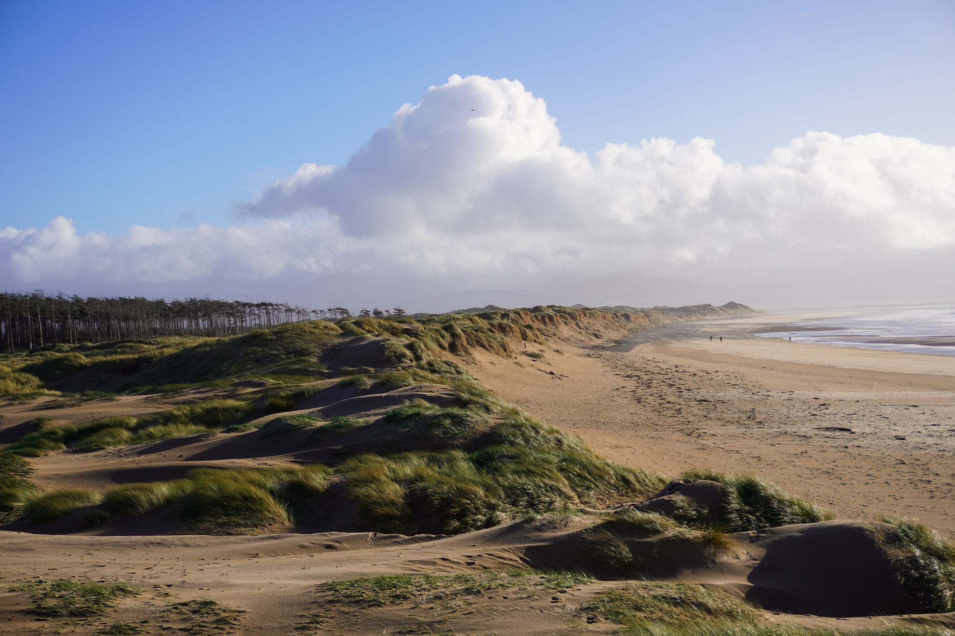 Property image 17 for SC1175189