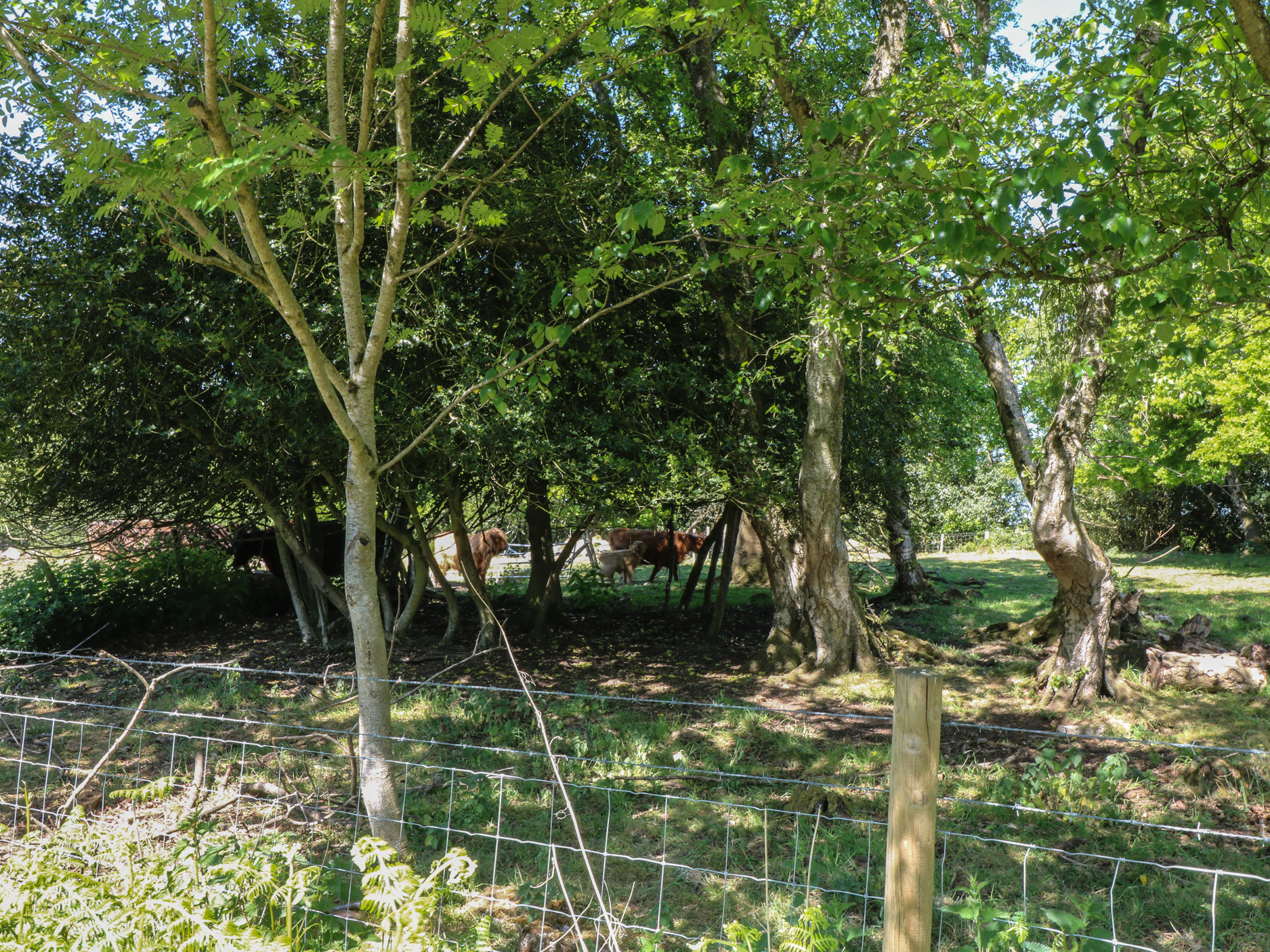 Property image 15 for SC1175530