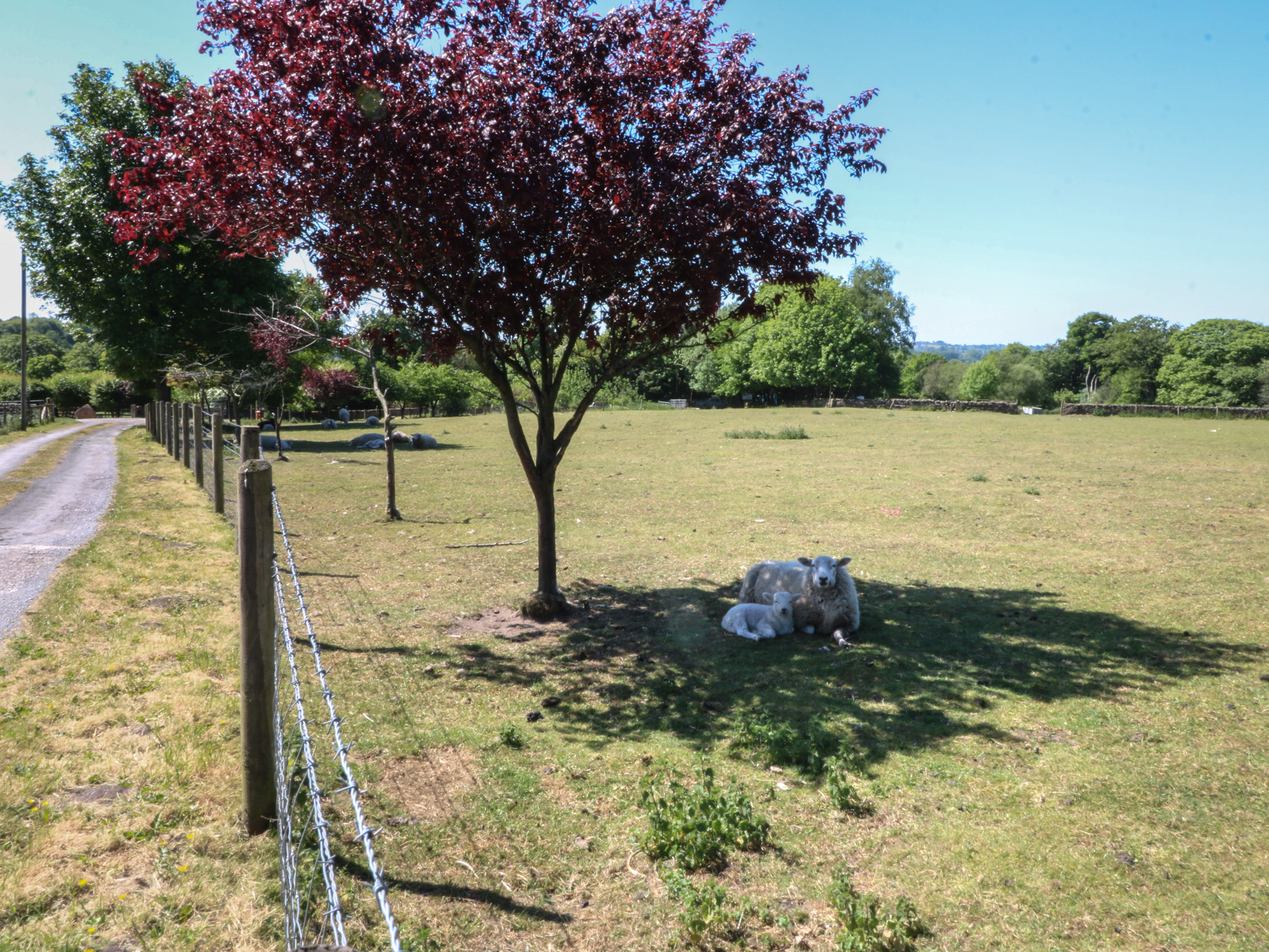 Property image 16 for SC1175530