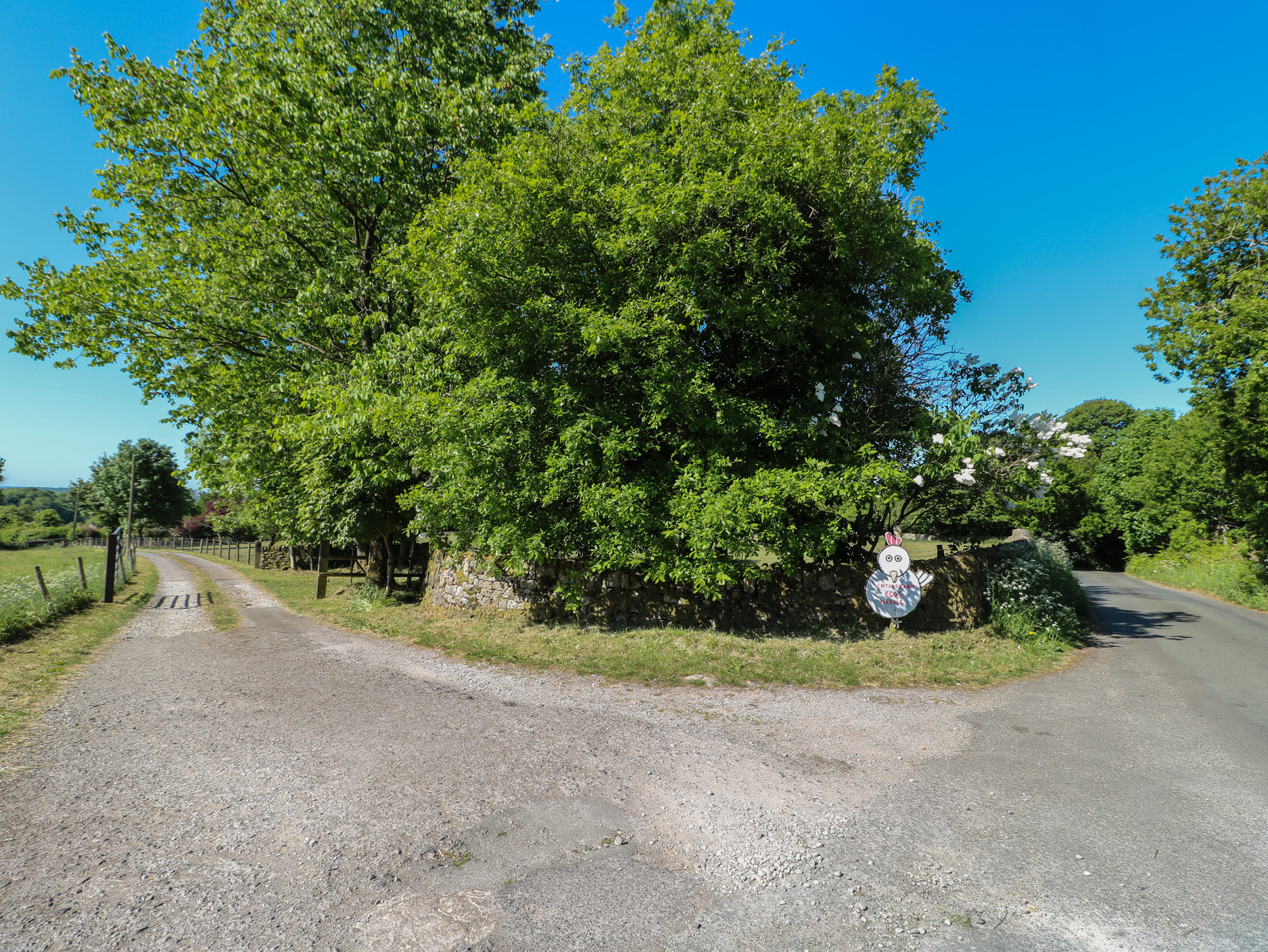 Property image 20 for SC1175530