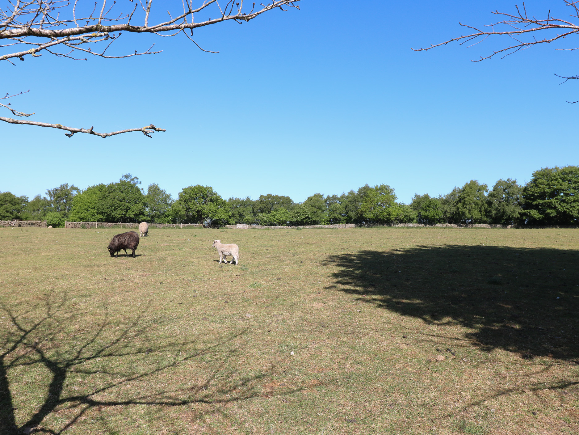 Property image 21 for SC1175530