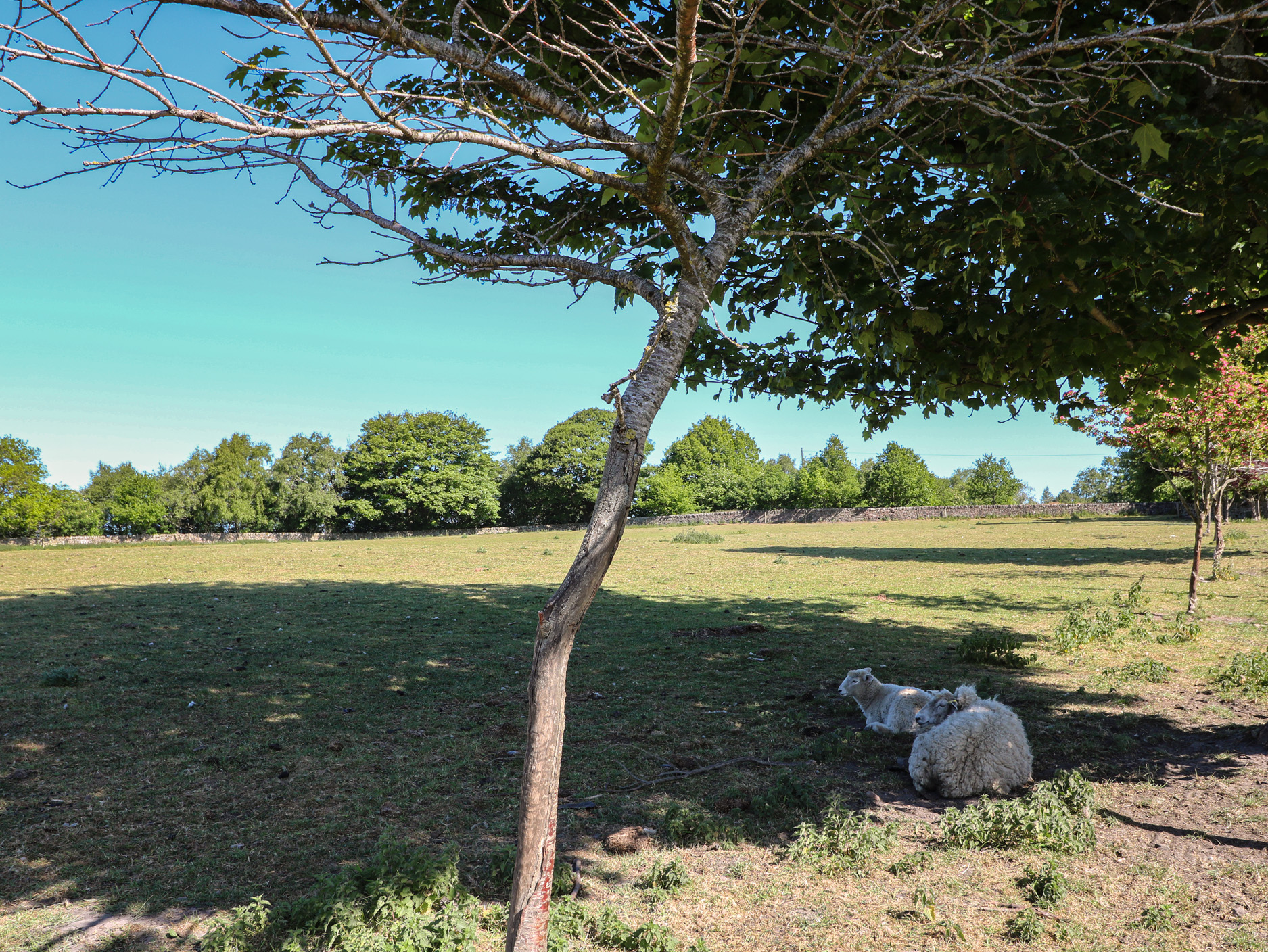 Property image 22 for SC1175530