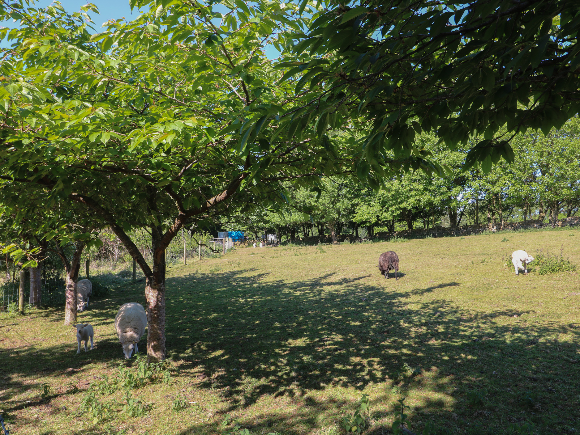 Property image 23 for SC1175530