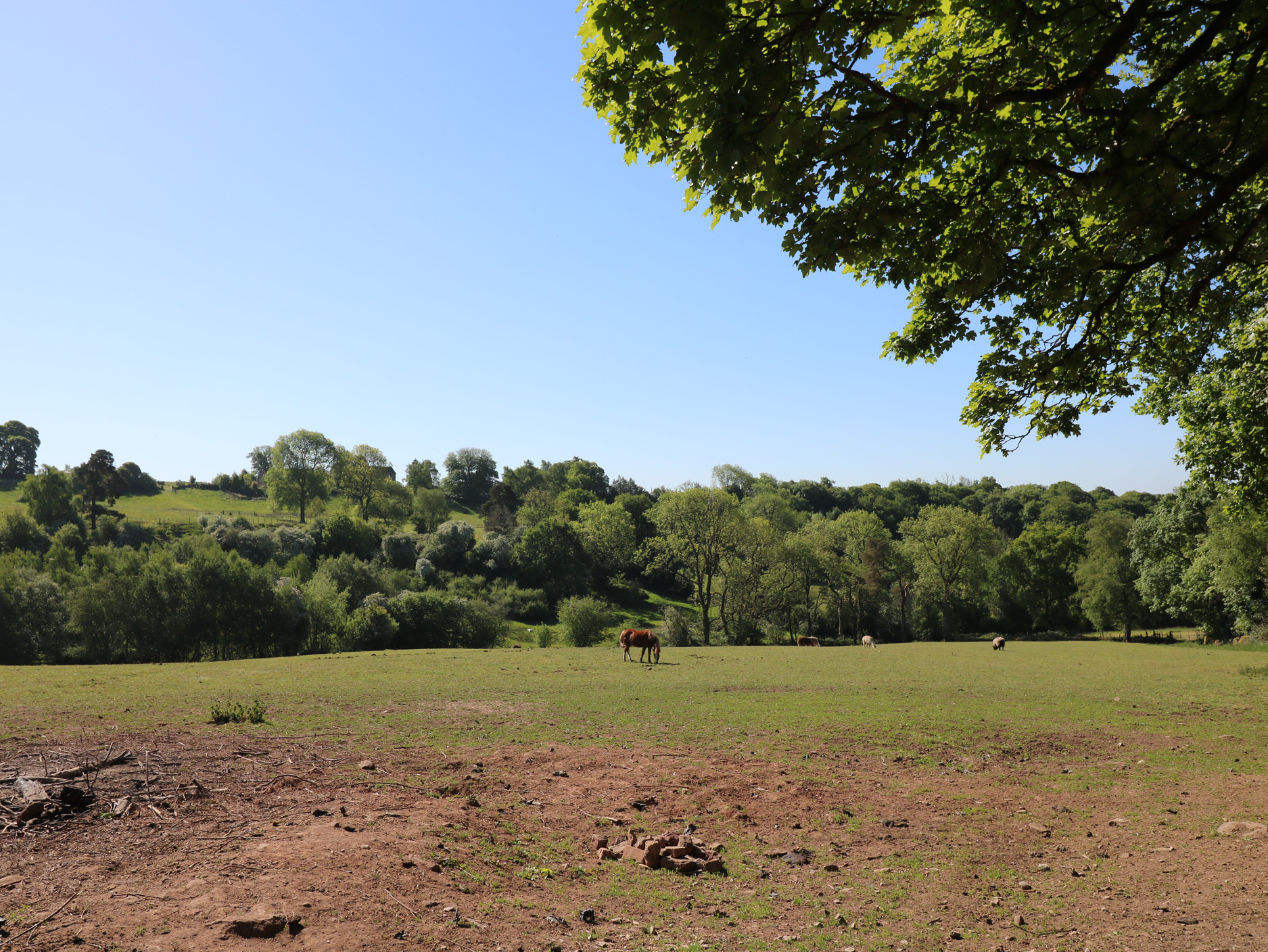 Property image 24 for SC1175530