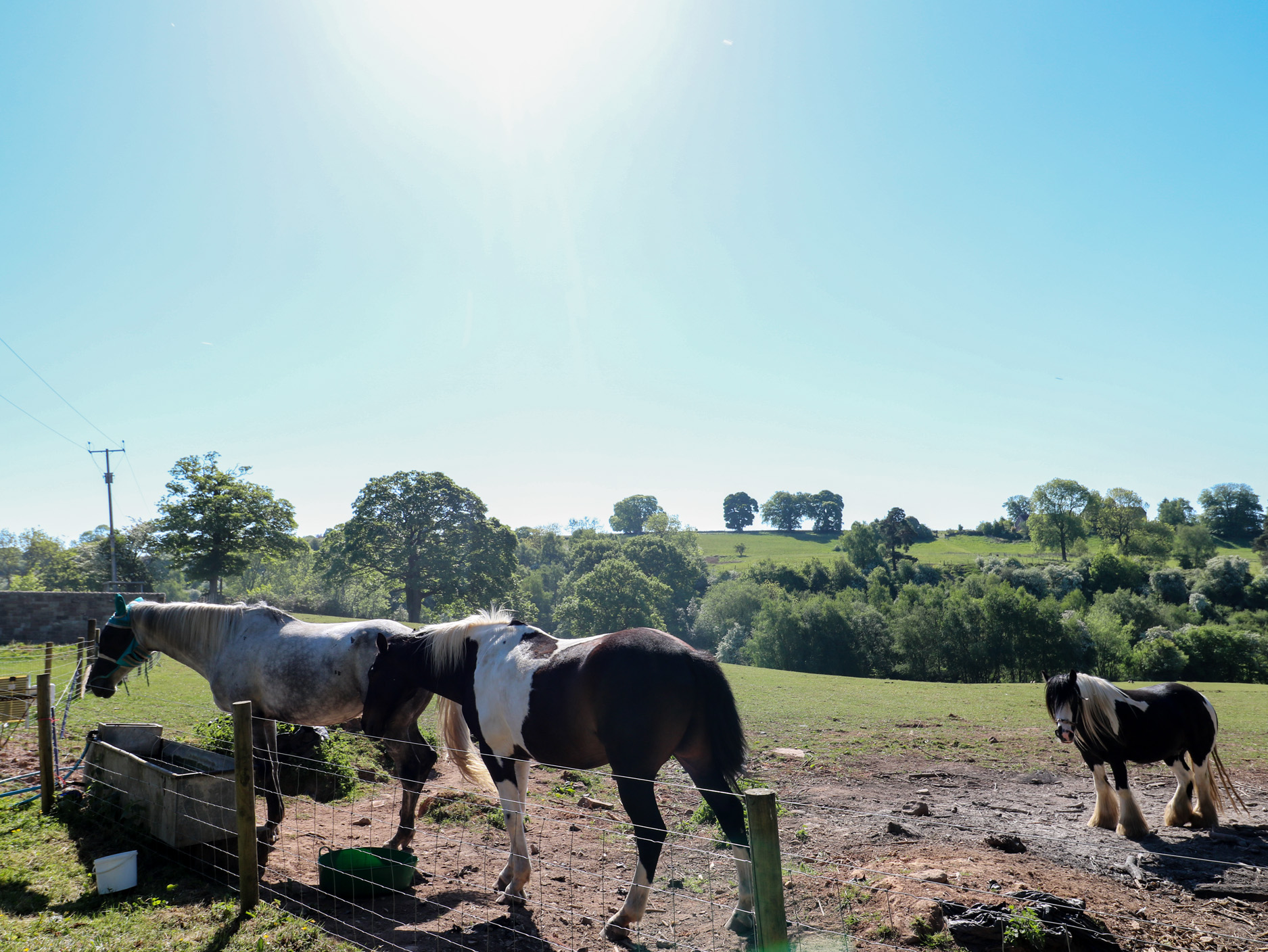 Property image 25 for SC1175530