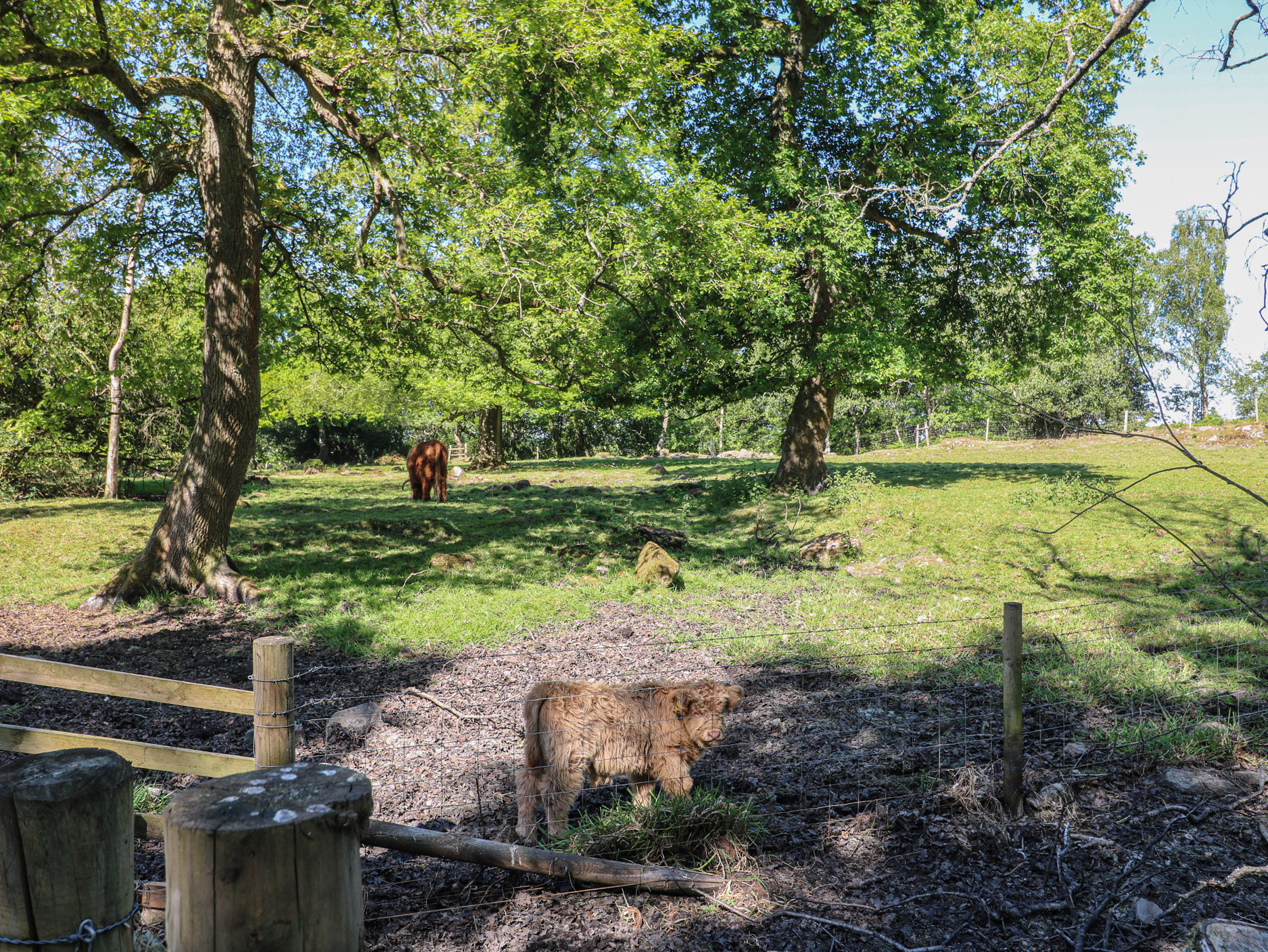 Property image 26 for SC1175530