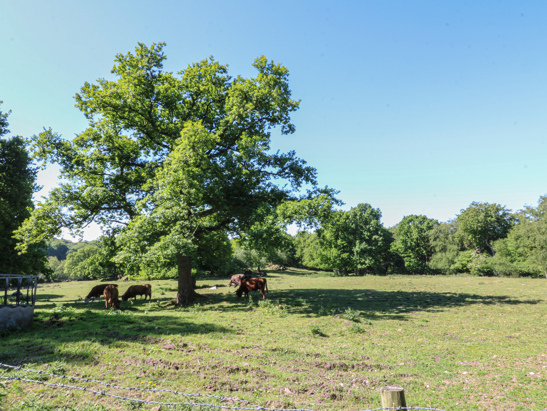 Property image 27 for SC1175530