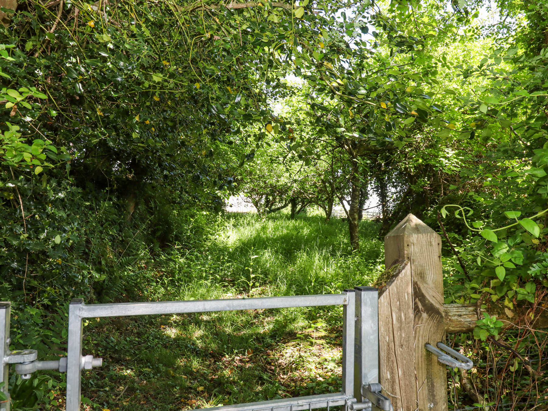 Property image 20 for SC1176459