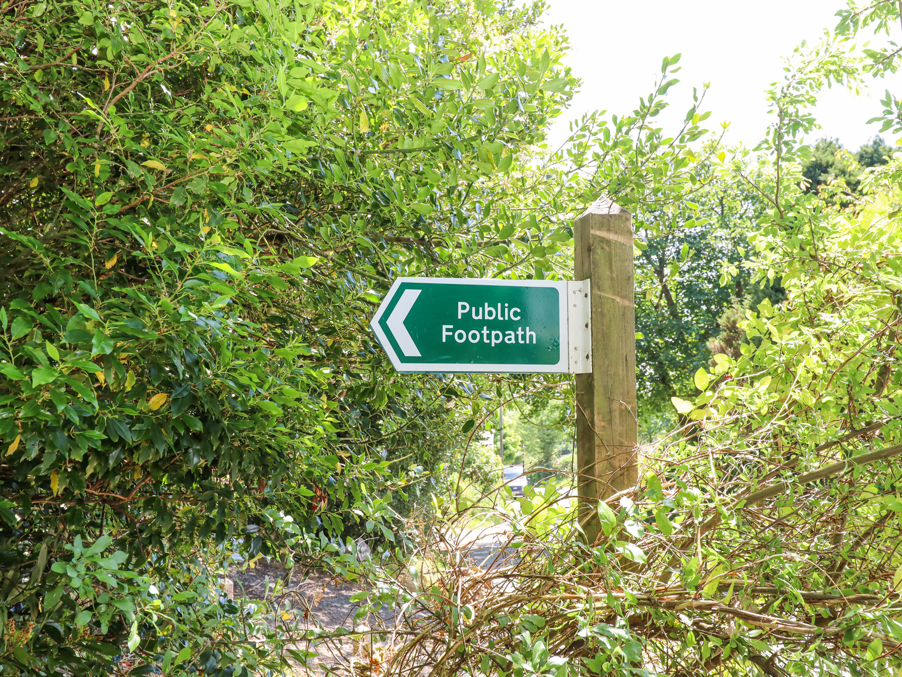 Property image 21 for SC1176459