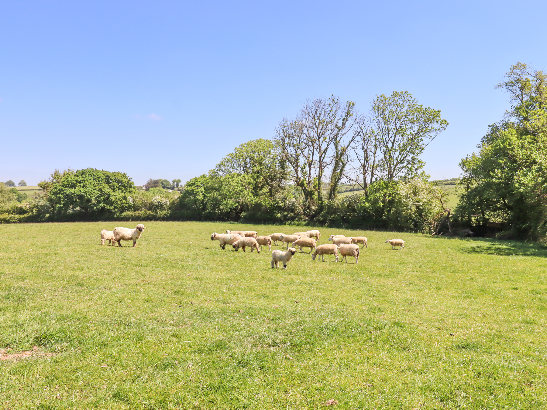 Property image 22 for SC1176459