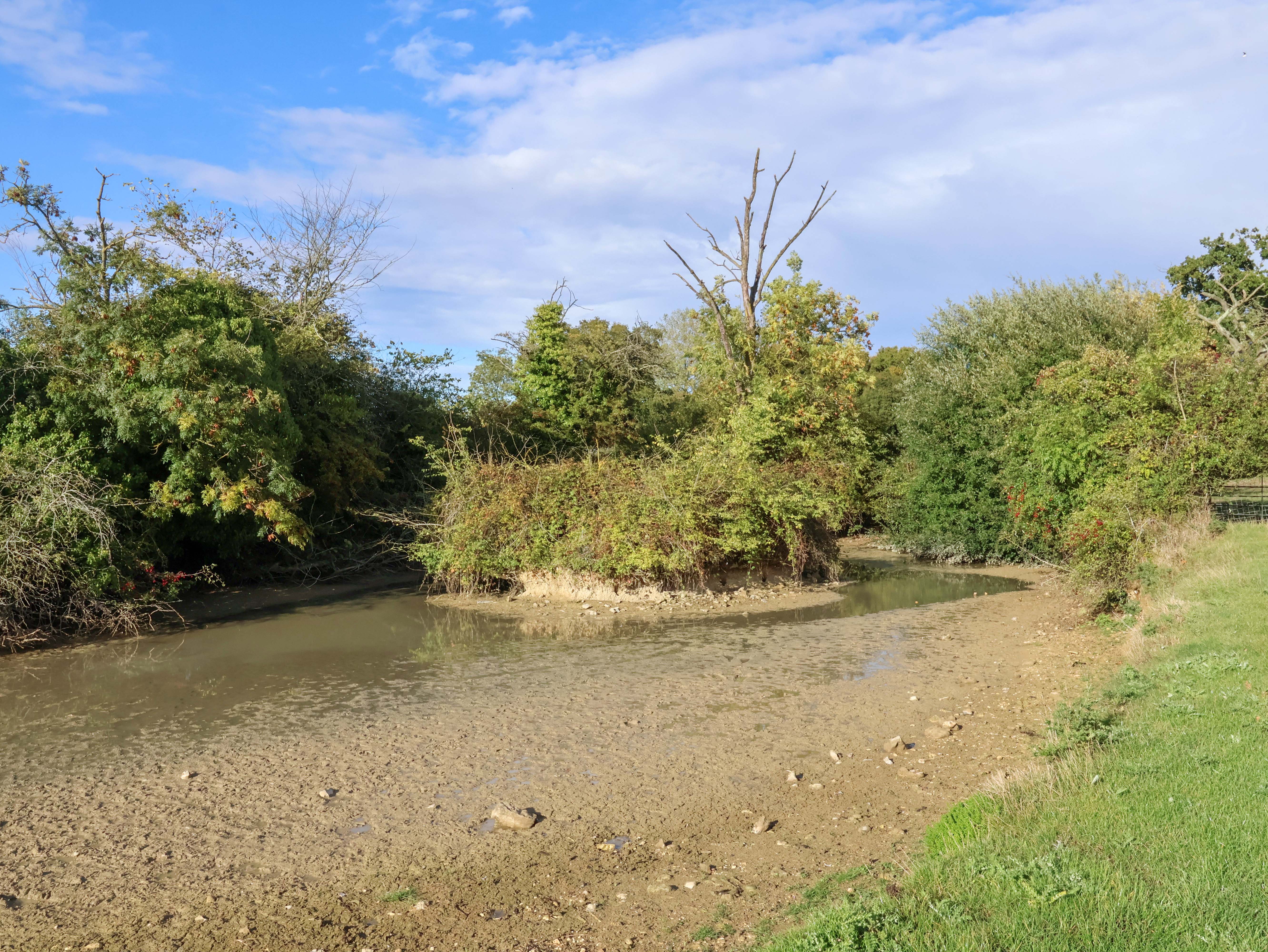 Property image 30 for SC1177411