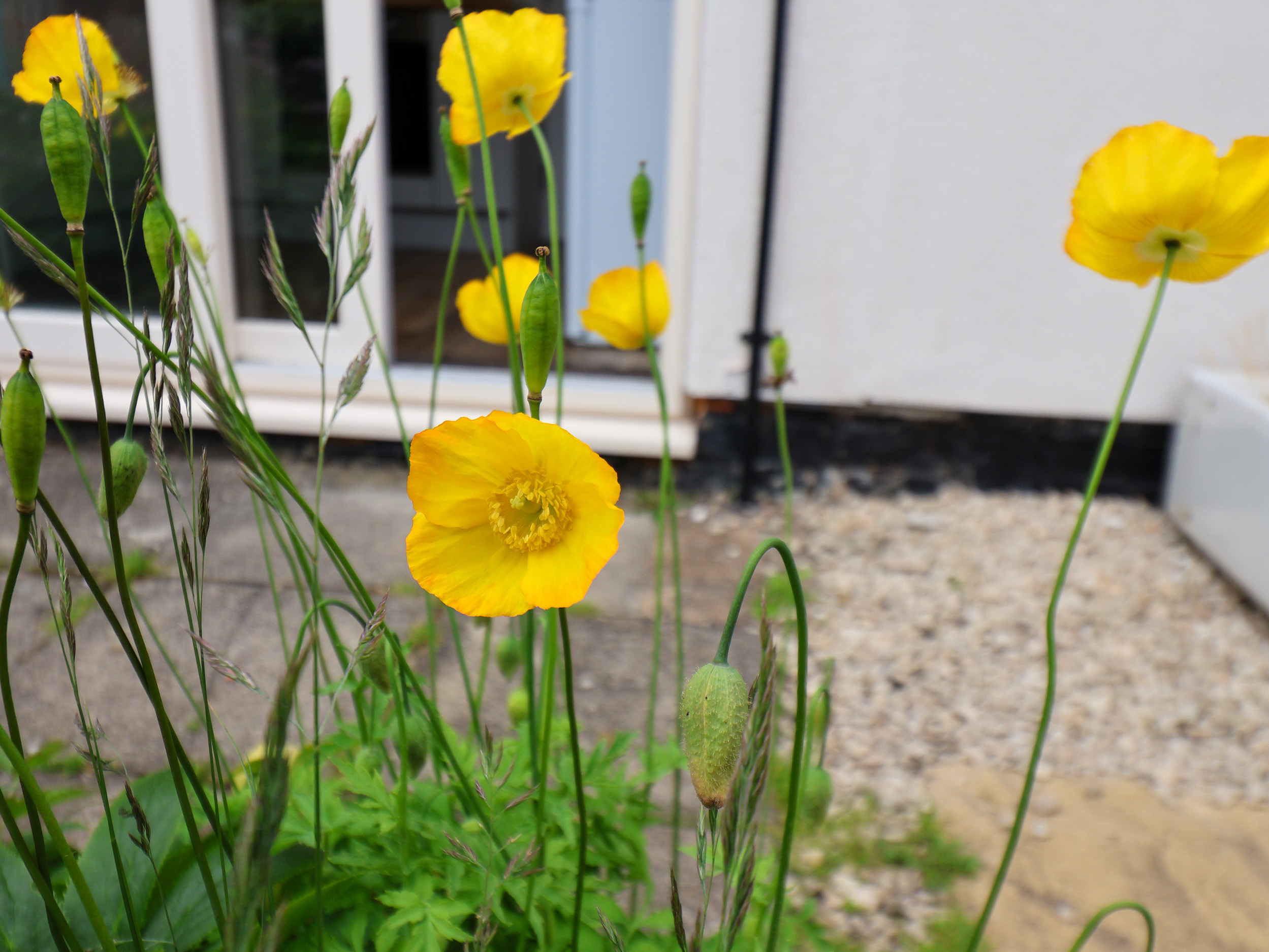 Property image 25 for SC1177468