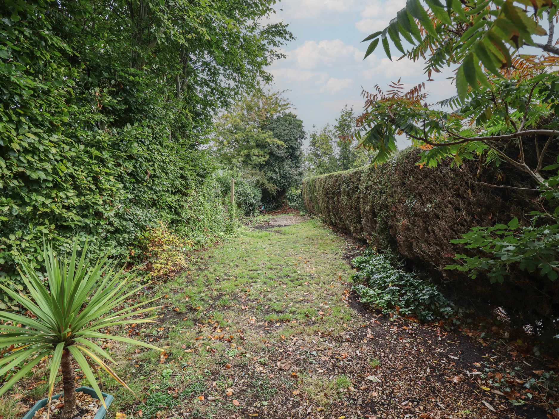 Property image 15 for SC1178107