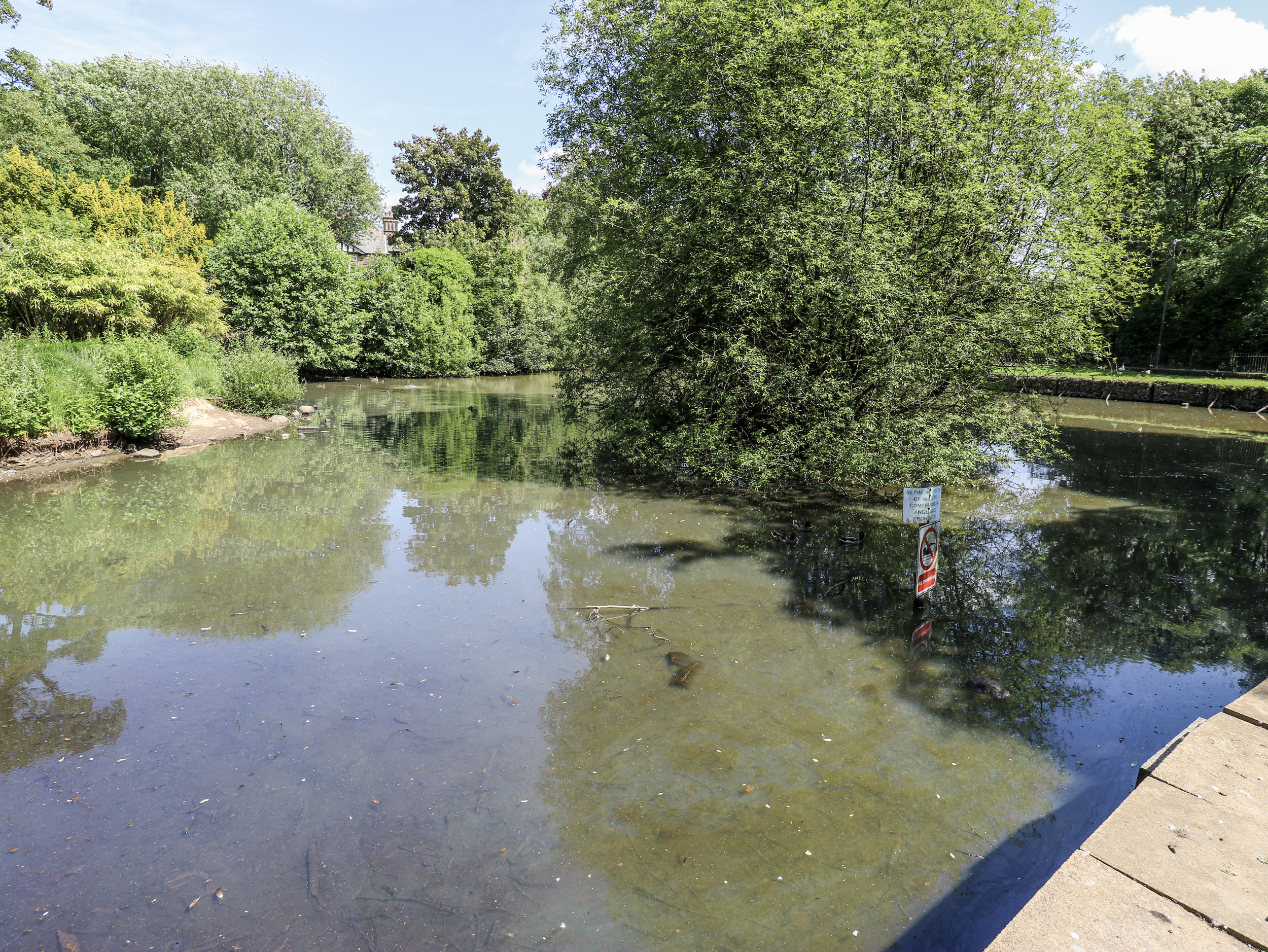 Property image 18 for SC1178237