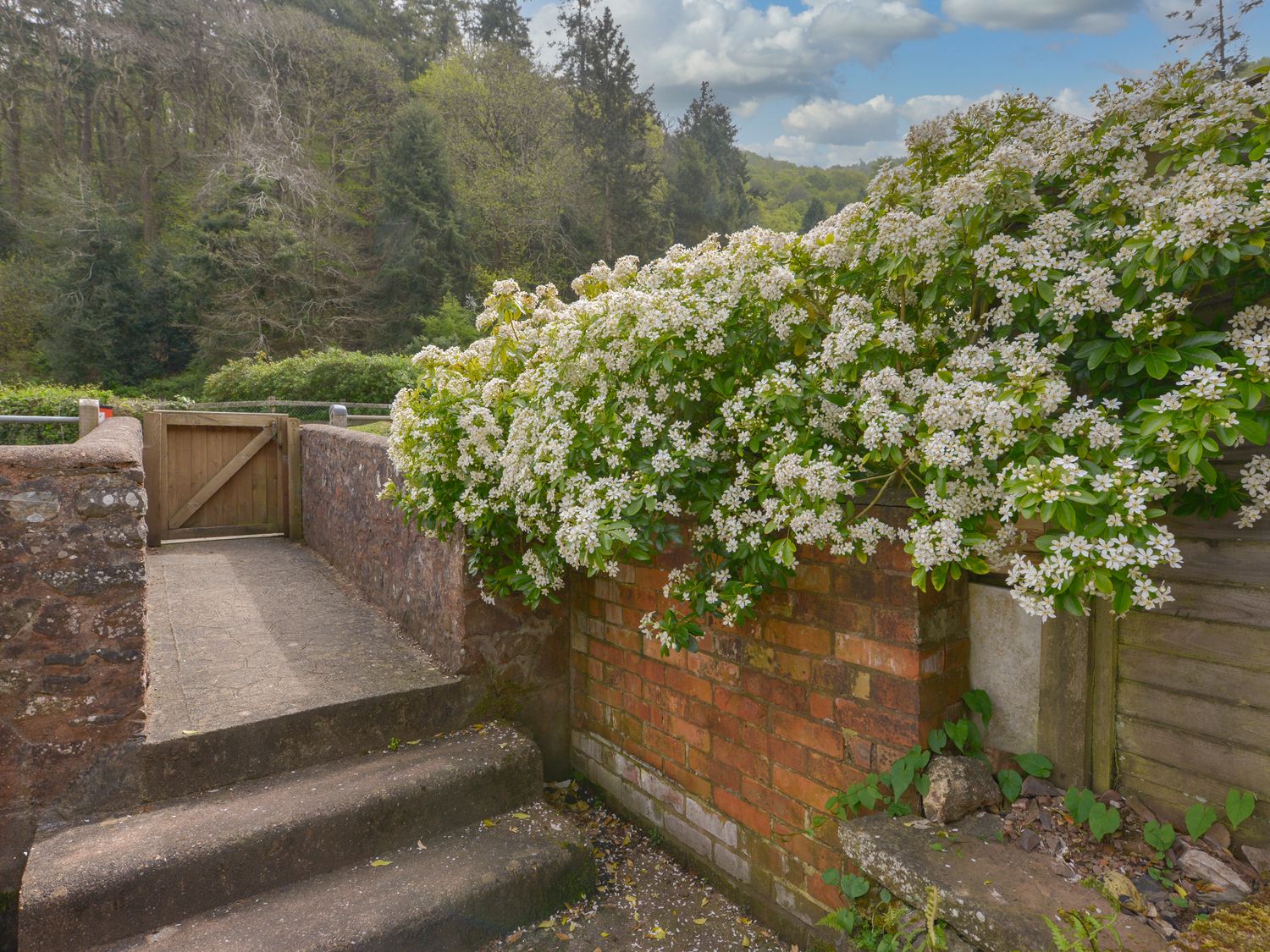 Property image 12 for SC1180210