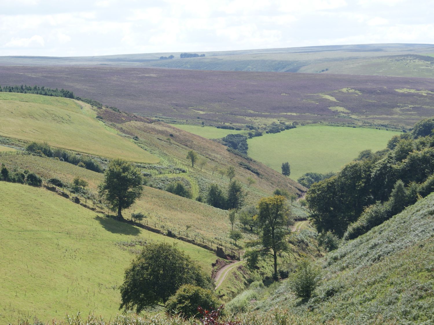 Property image 13 for SC1180210