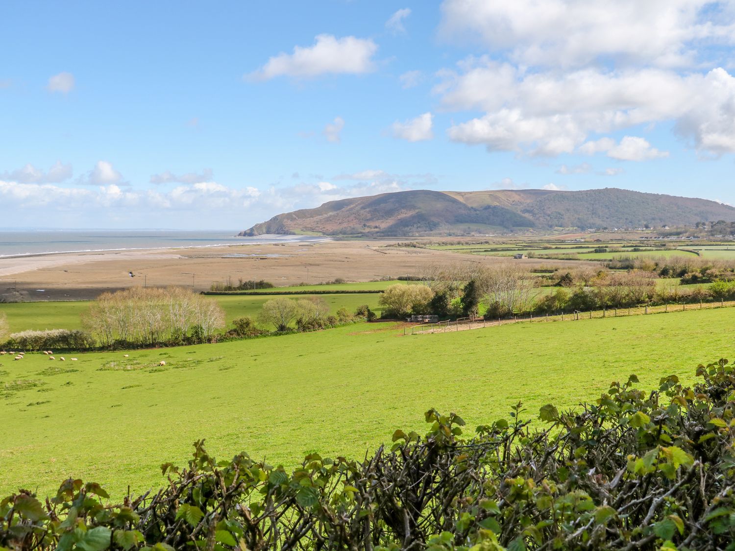 Property image 16 for SC1180210