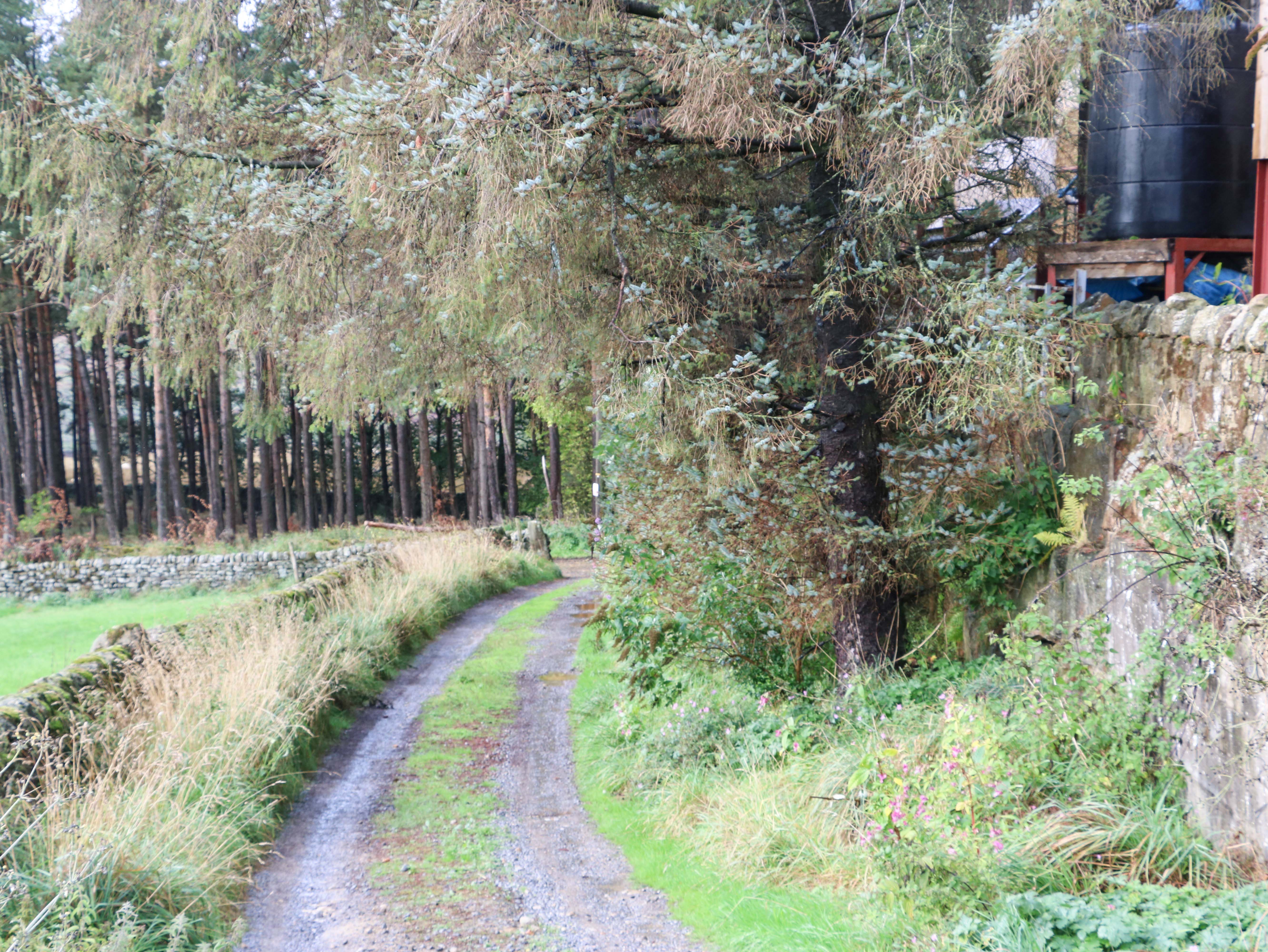 Property image 24 for SC1183358