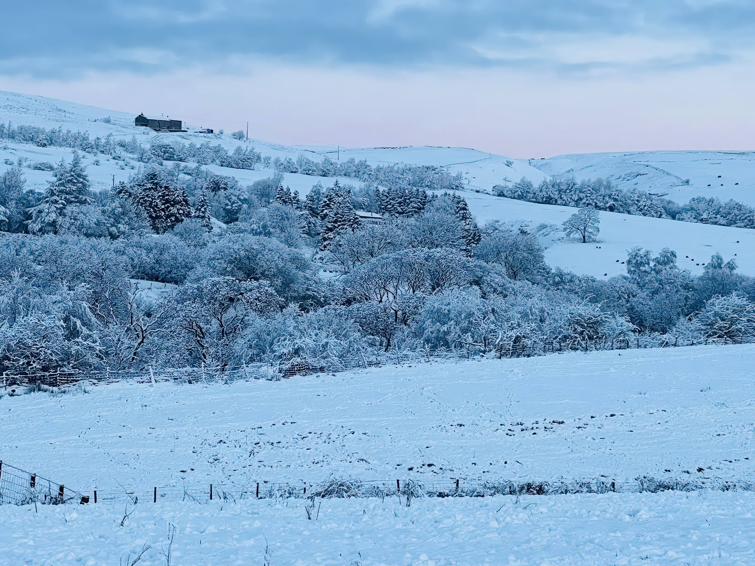 Property image 26 for SC1183769