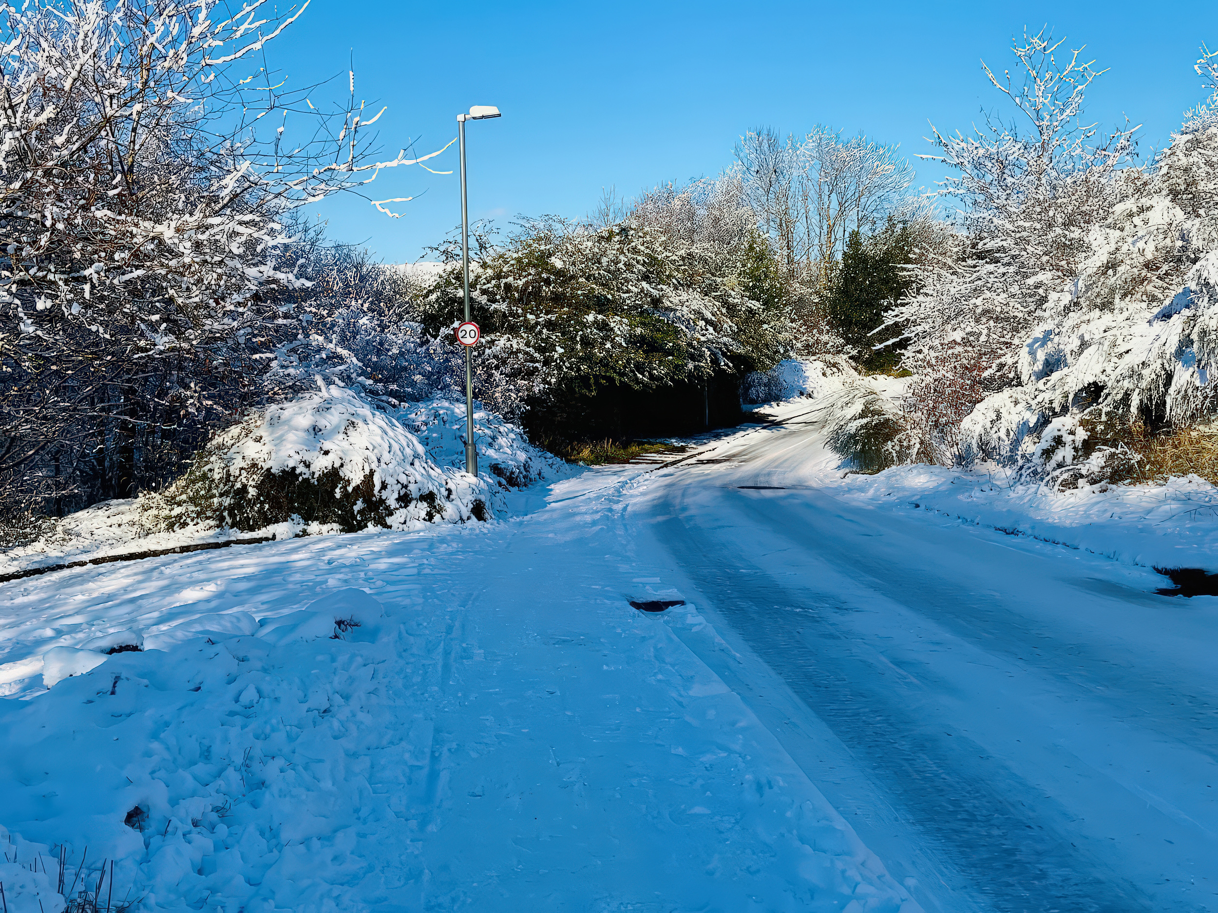 Property image 28 for SC1183769