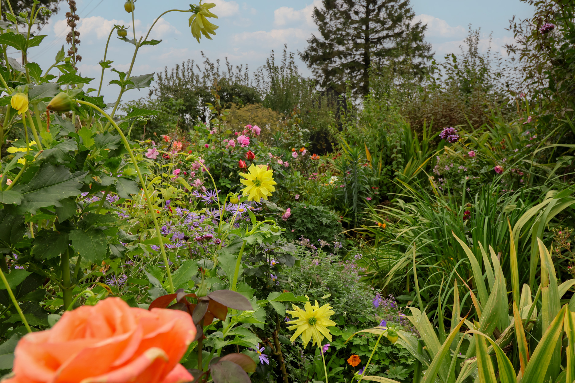 Property image 14 for SC1184578