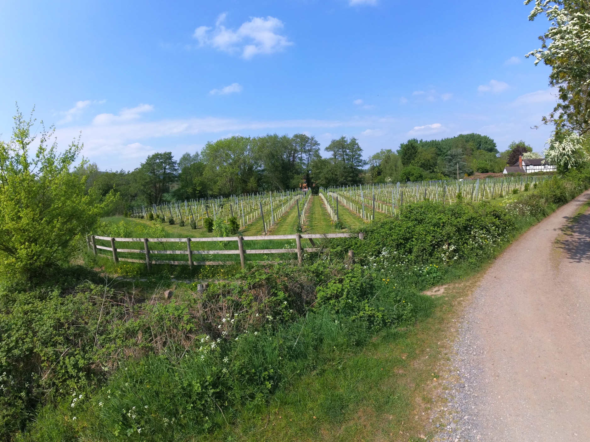 Property image 20 for SC1189501