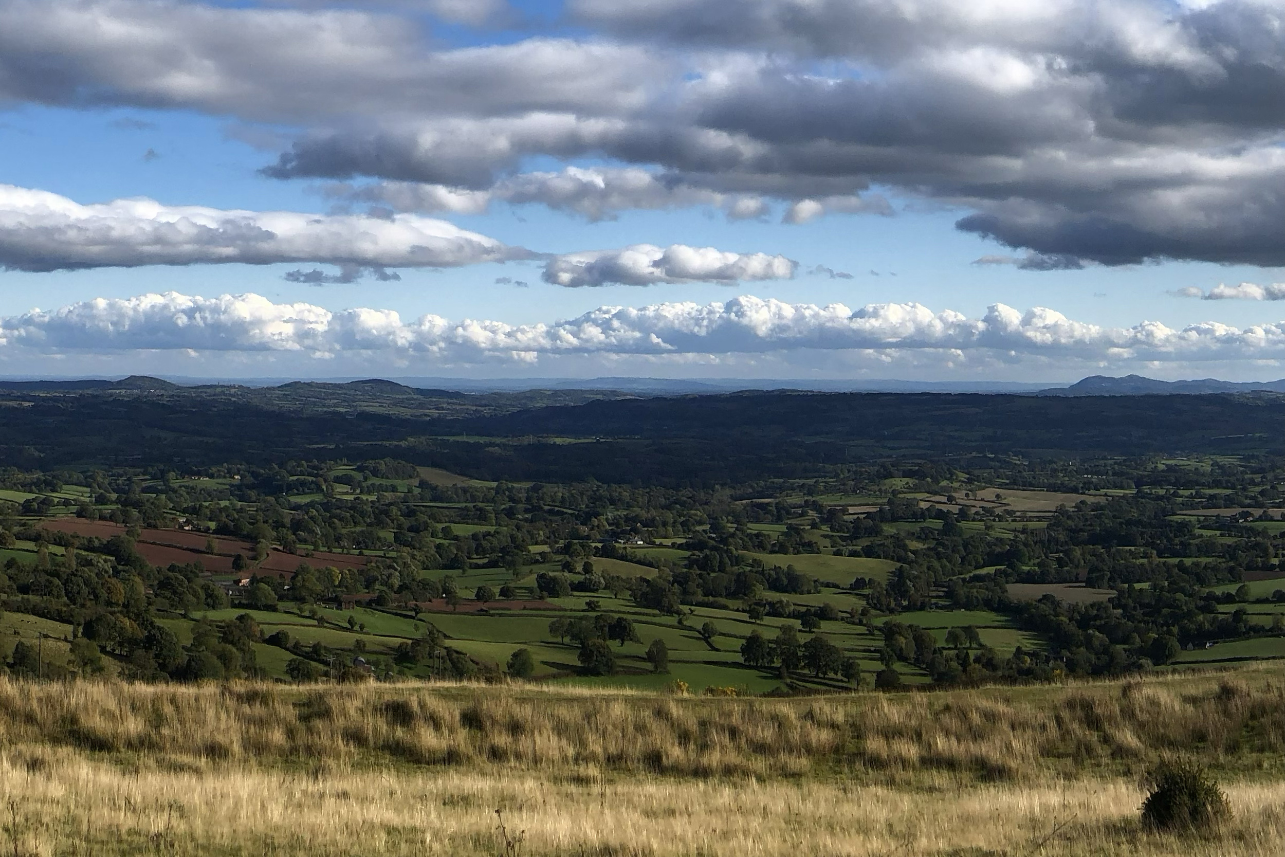 Property image 22 for SC1191348