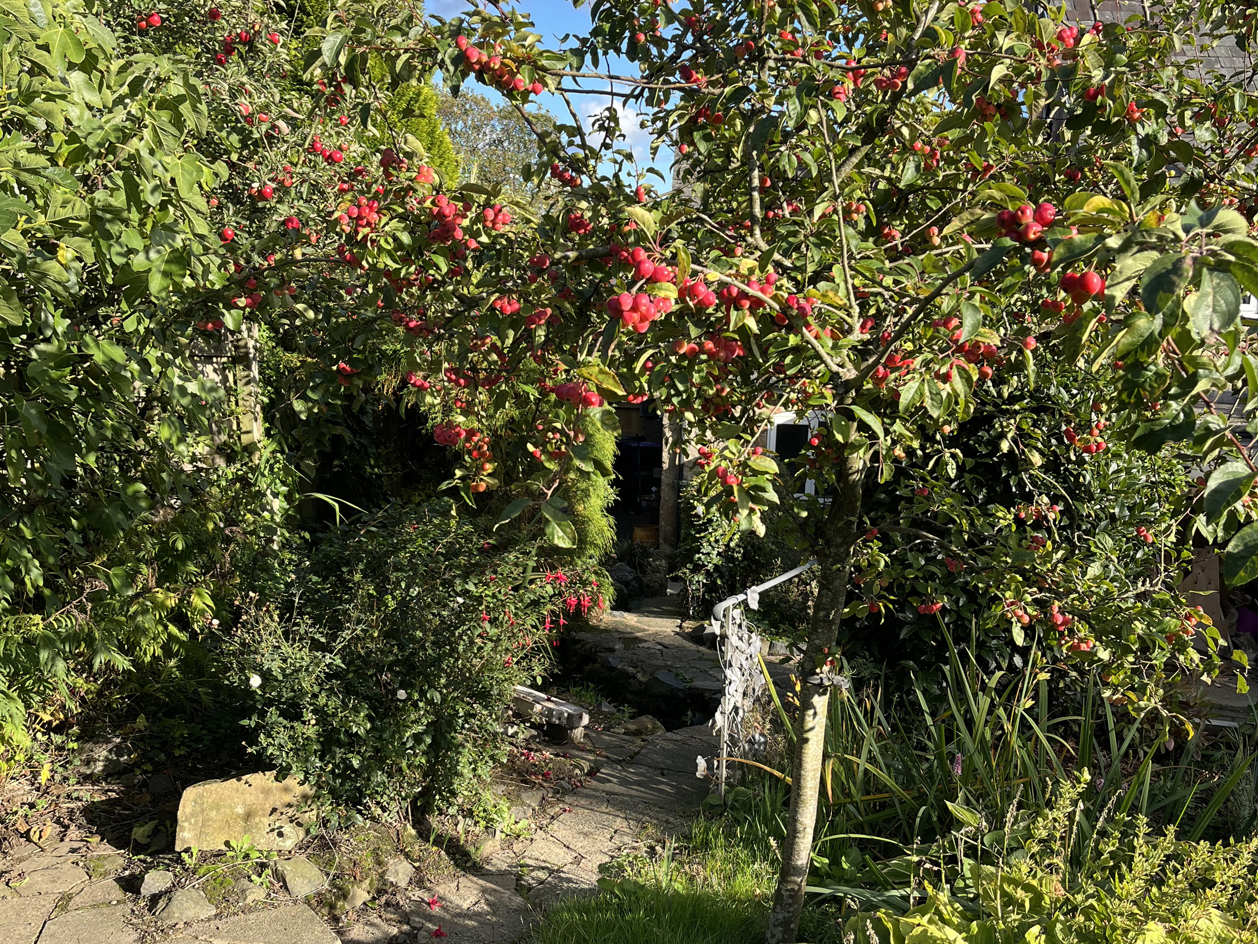 Property image 18 for SC1191348